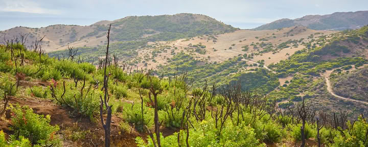 Kenianische Yoga- und Safari-Retreat-Räume