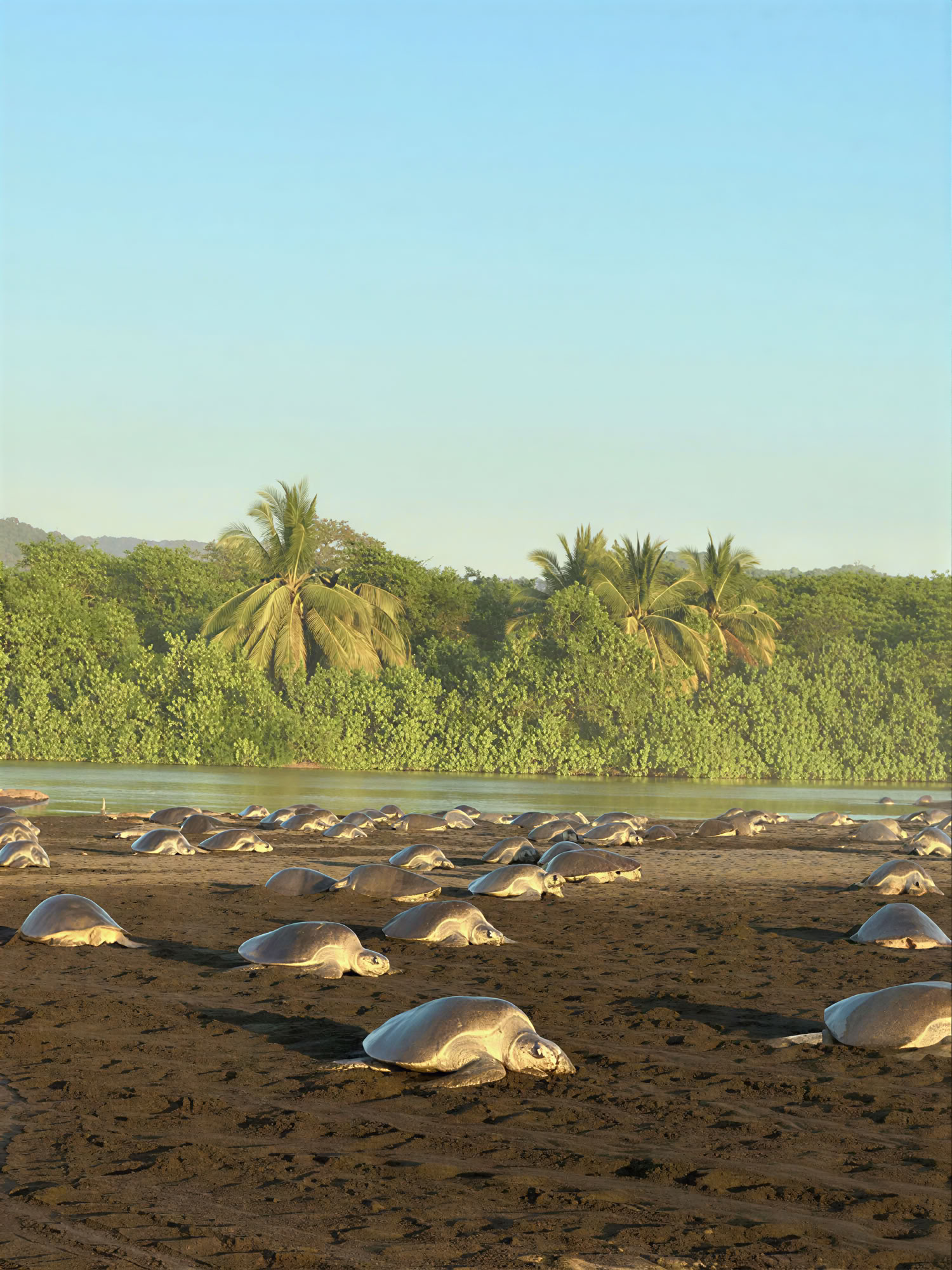 Das Seven Chakras Yoga + Surf Retreat