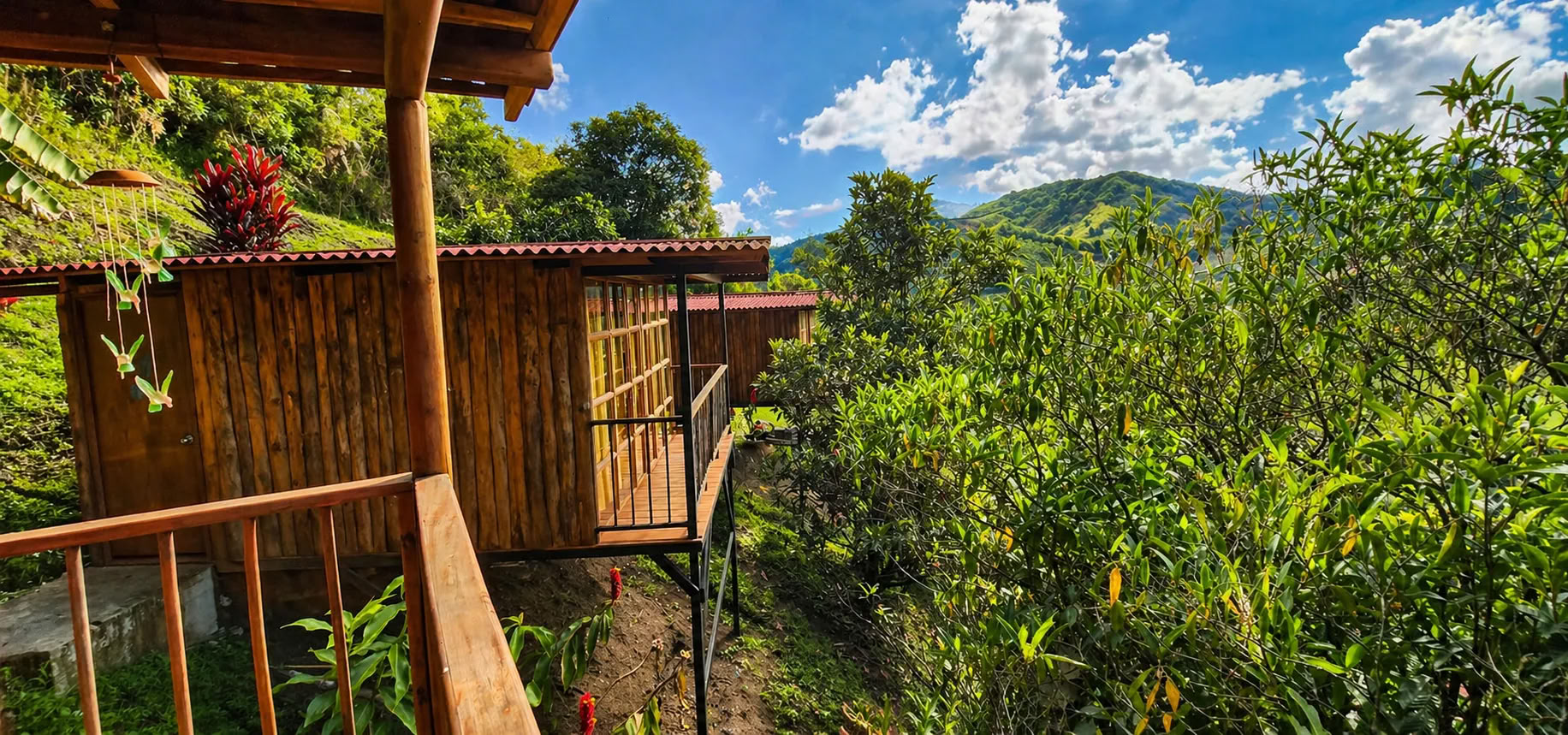 Ayahuasca-Retreat September 2026 in Medellín