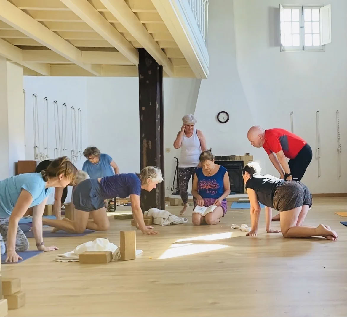 Fortgeschrittene Studien / Lehrertrainings-Workshops