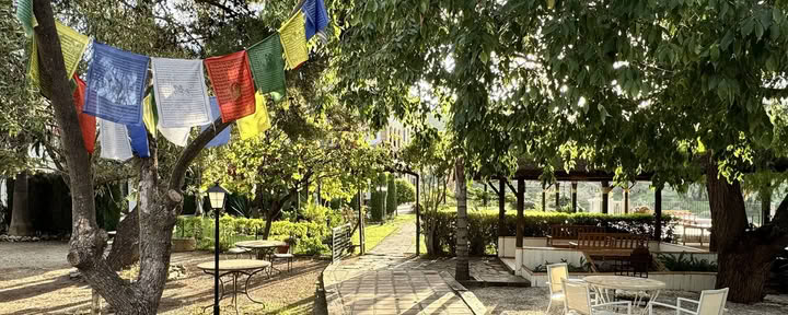 Spanien Yoga Retreat - Fortgeschrittene Stufe — Stufe 3 Iyengar Yoga Lehrerin Rachel Lovegrove
