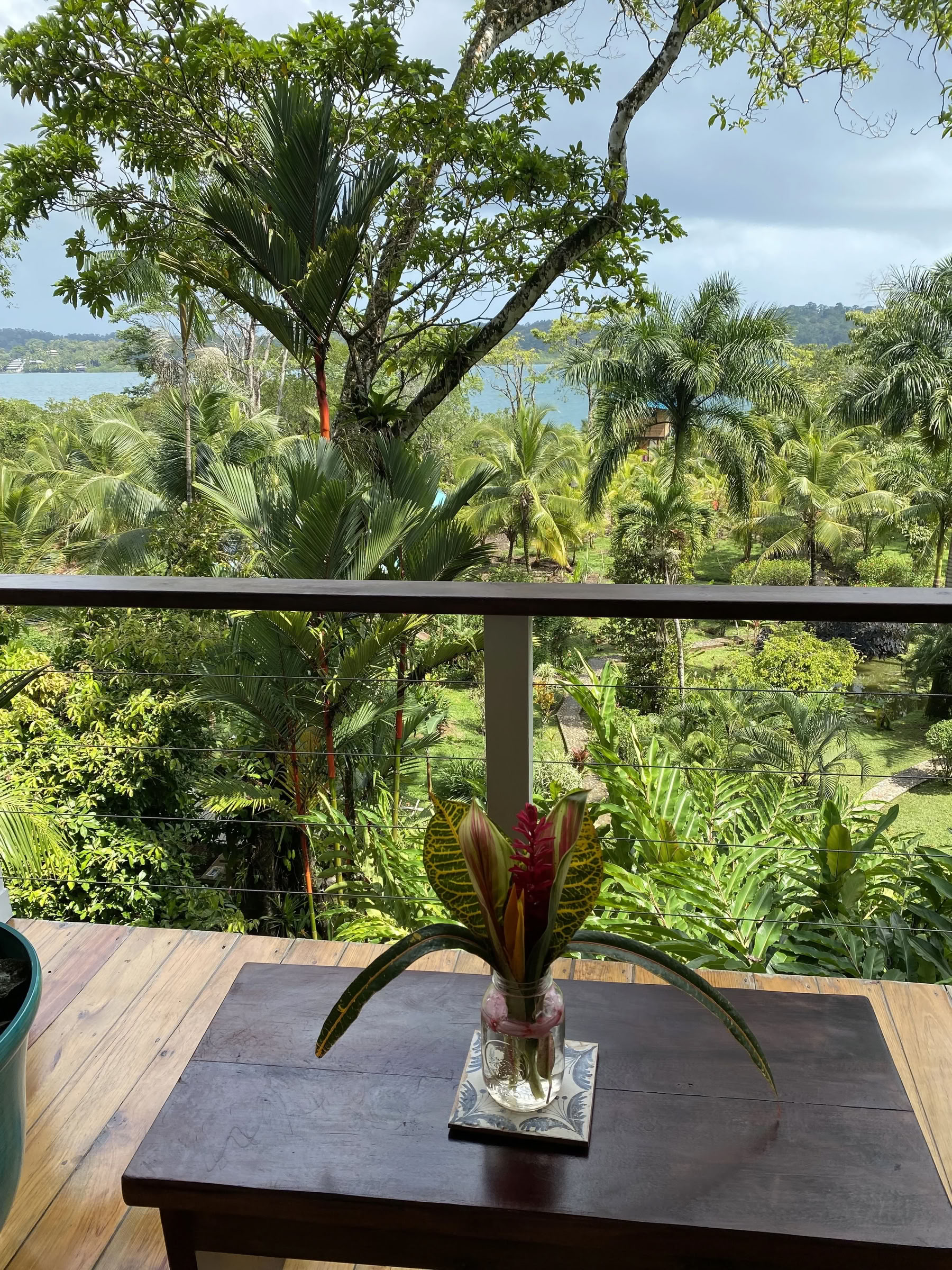 crecer y Florecer: ein Roam Yoga & Wellness Retreat
