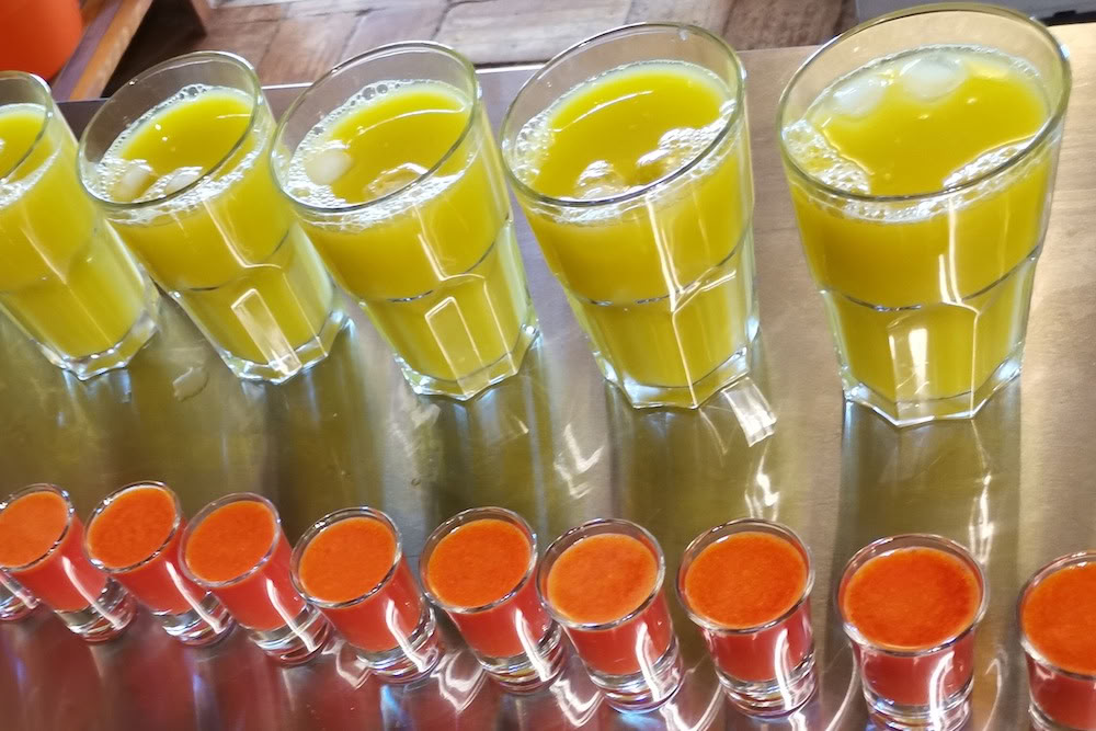 Saft-Detox-, Yoga- & Wellness-Retreat – 08 Aug 2026 - 18 Aug 2026