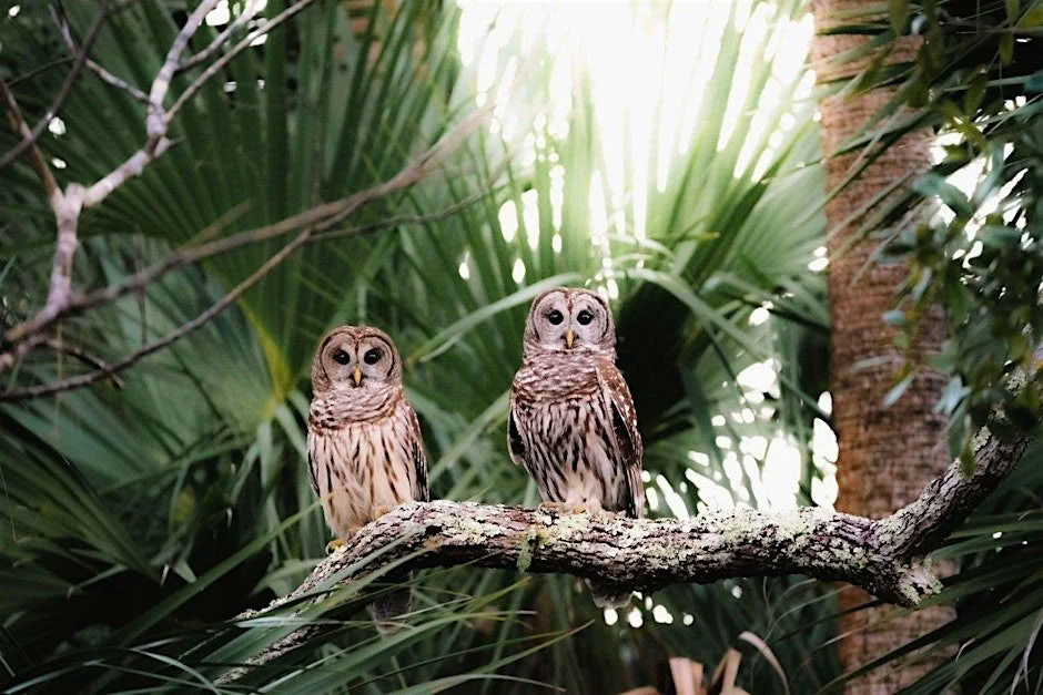 Natur-Eco-Tour