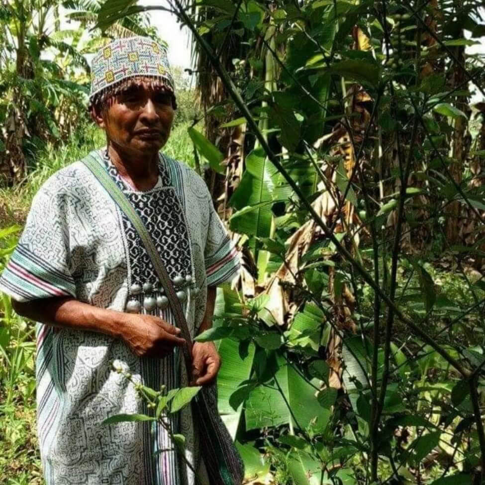 Ayahuasca Peru Retreat mit uralten Zeremonien (5 Tage)