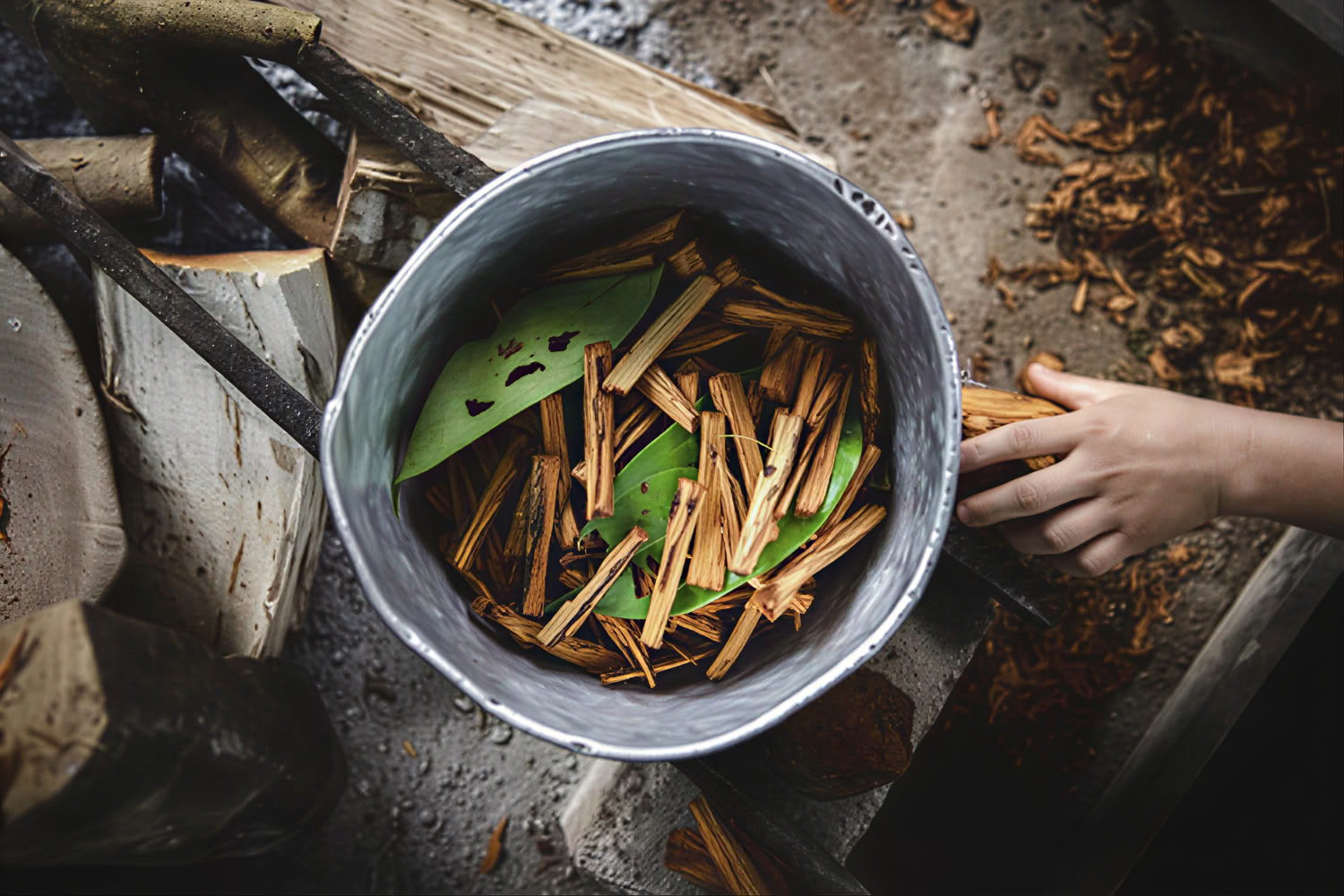 Ayahuasca Peru Retreat mit uralten Zeremonien (5 Tage)