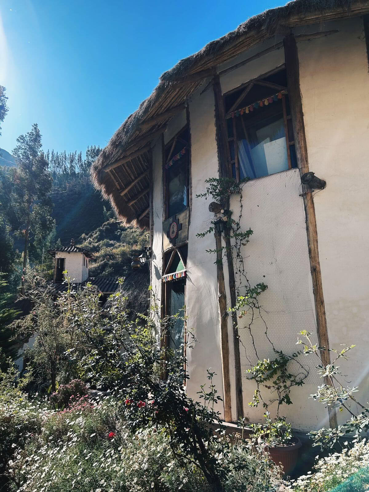 Privates Ayahuasca-Retreat mit andinen Ritualen (3 Tage) Ayahuasca-Zeremonie-Retreat mit andinen Ritualen (privat, 3 Tage) 2 Ayahuasca-Sitzungen