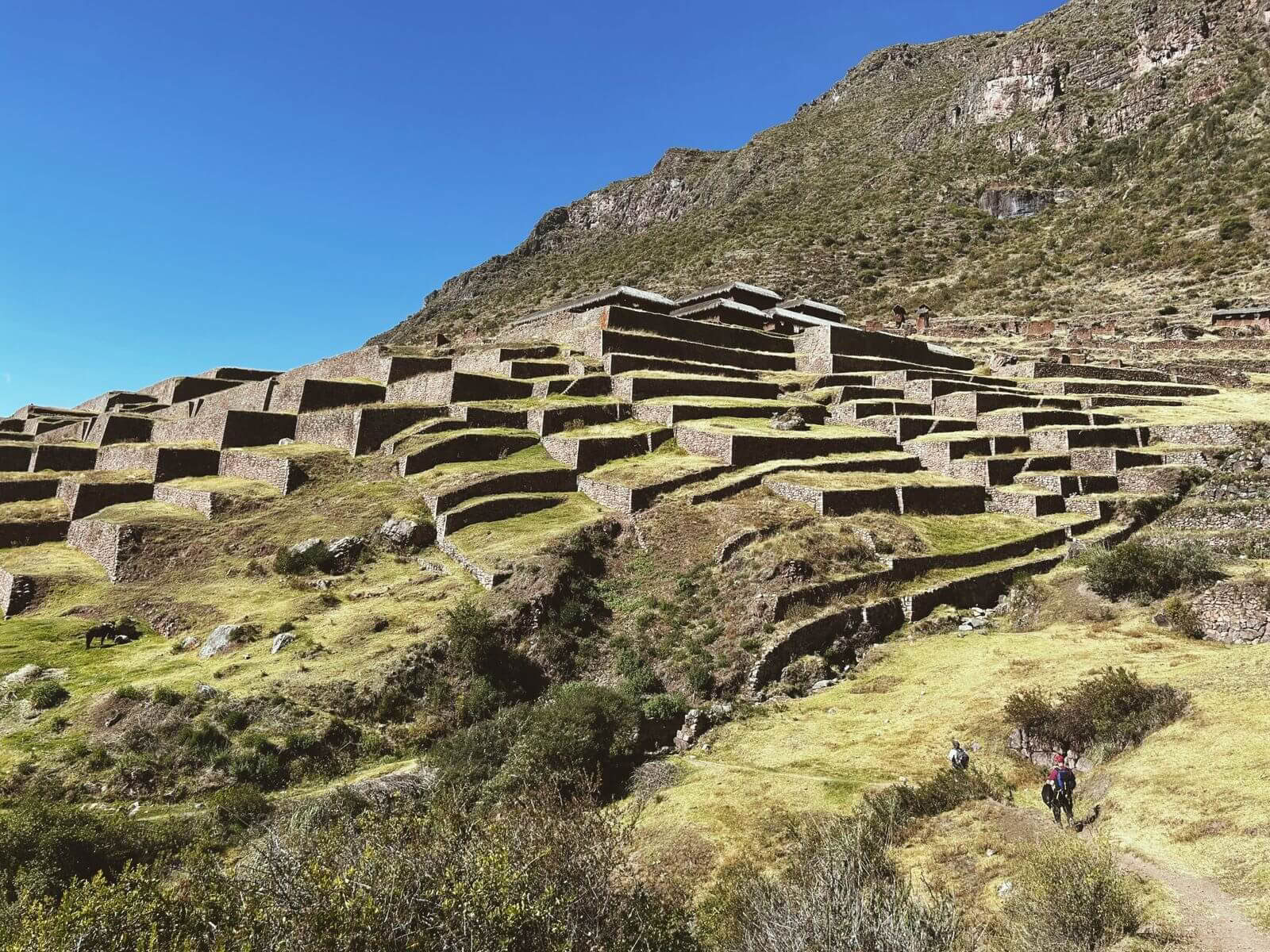 3-tägige spirituelle Huchuy-Qosqo-Trekkingtour mit San-Pedro-Medizin