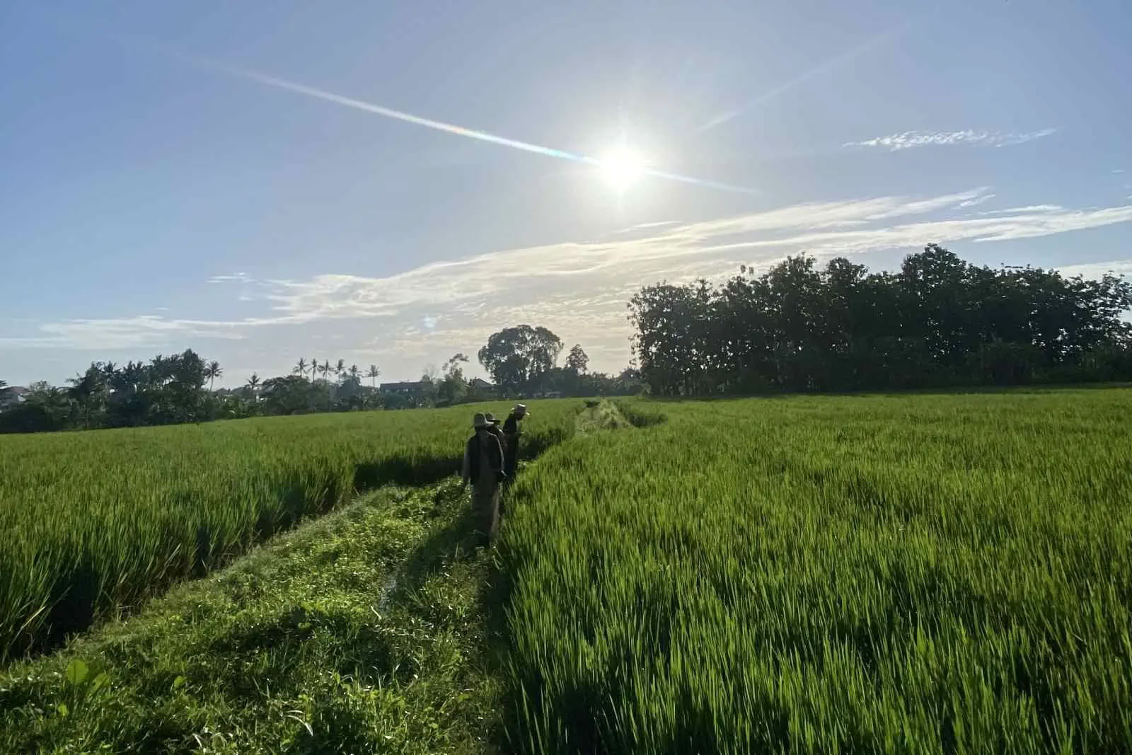 Kostenloser Morgenspaziergang