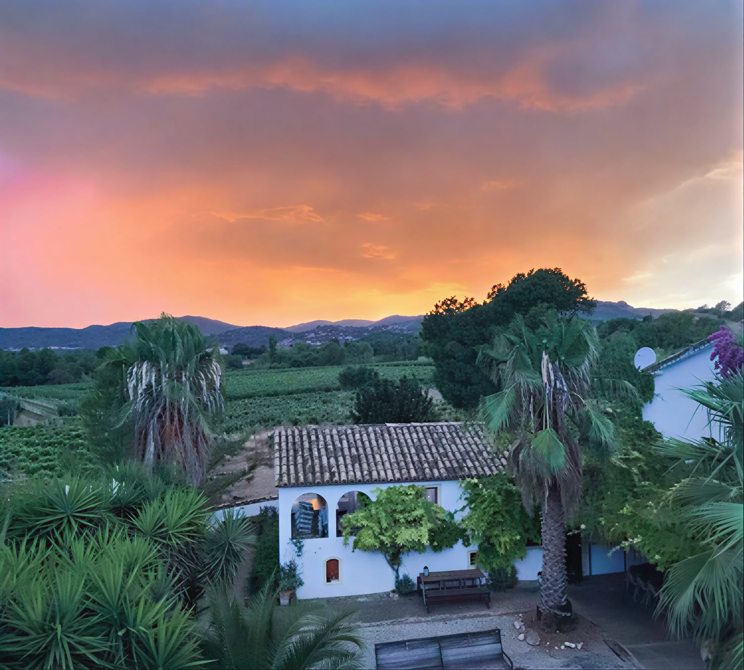 Yoga und Heilung mit Pferden: 5-Tage-Retreat