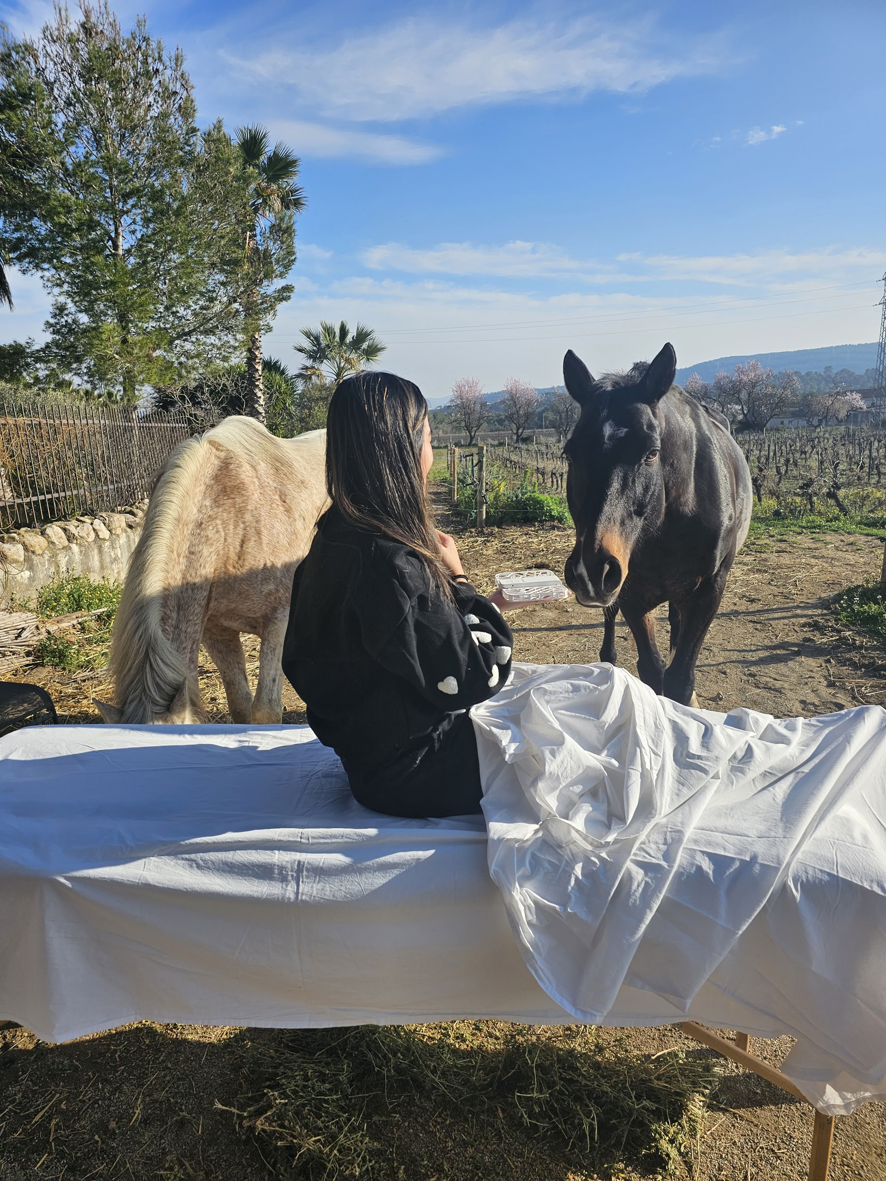 Yoga und Heilung mit Pferden: 5-Tage-Retreat
