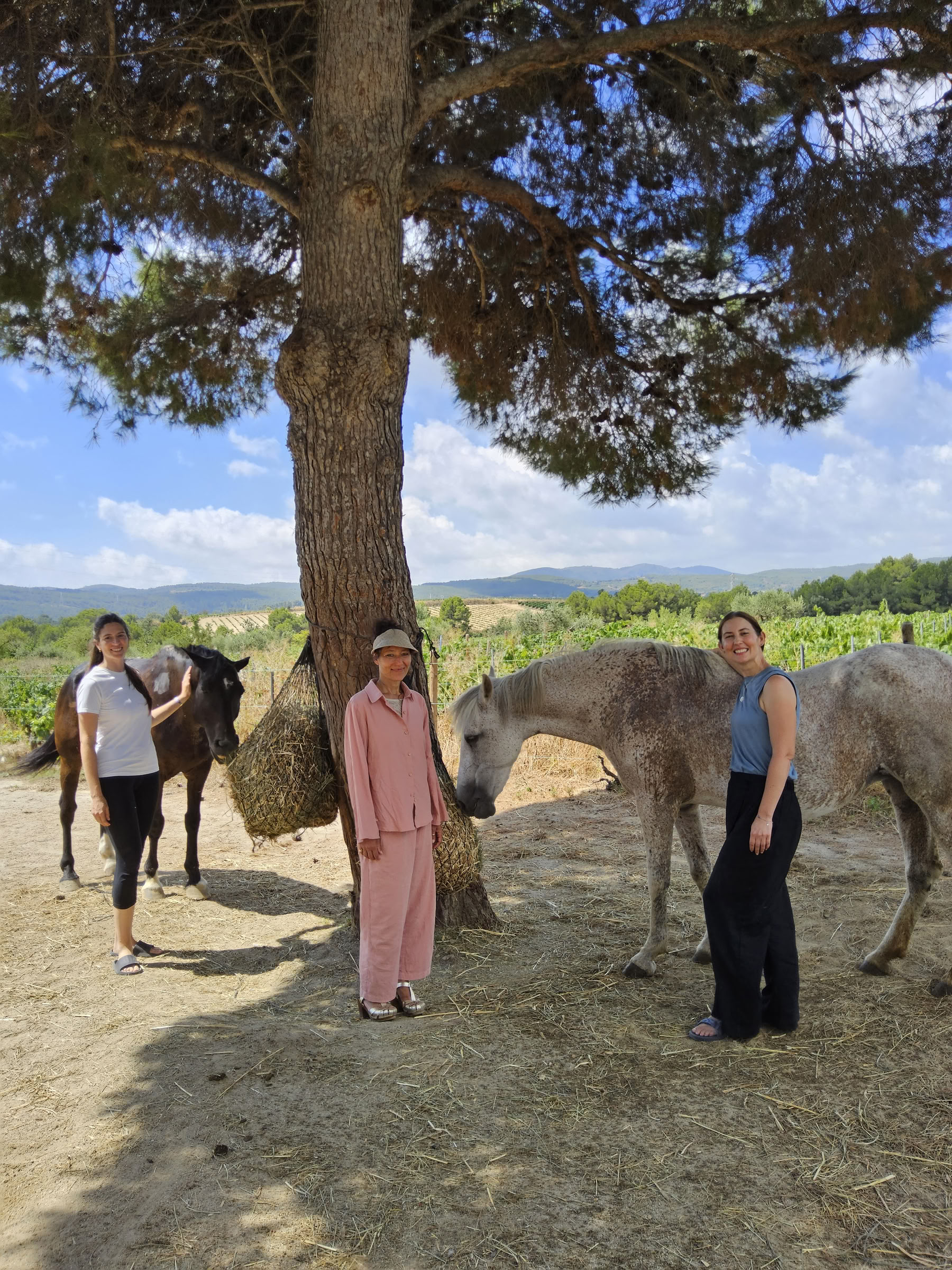 Yoga und Heilung mit Pferden: 5-Tage-Retreat