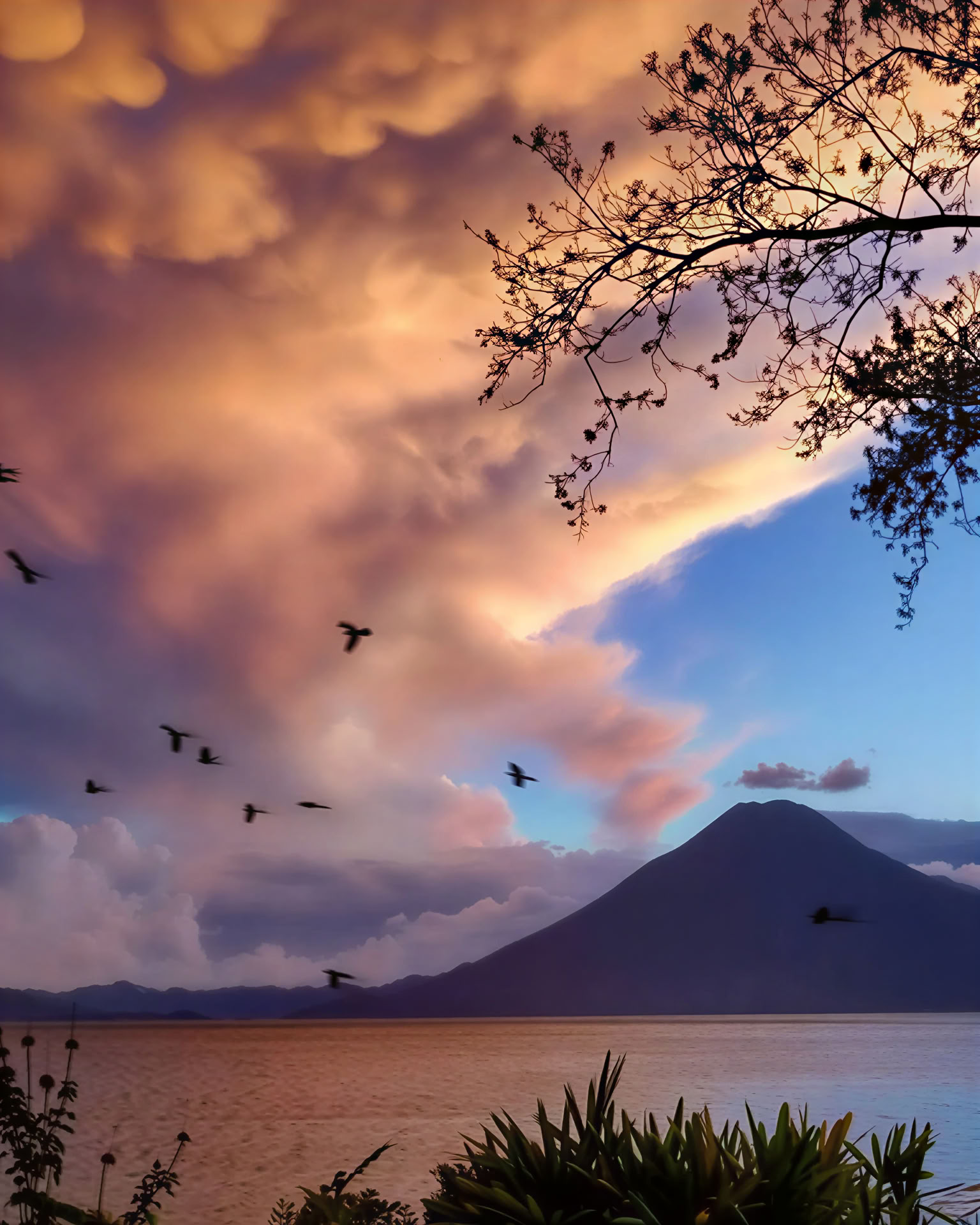 Herz der Erde: Yoga- & Natur-Retreat
