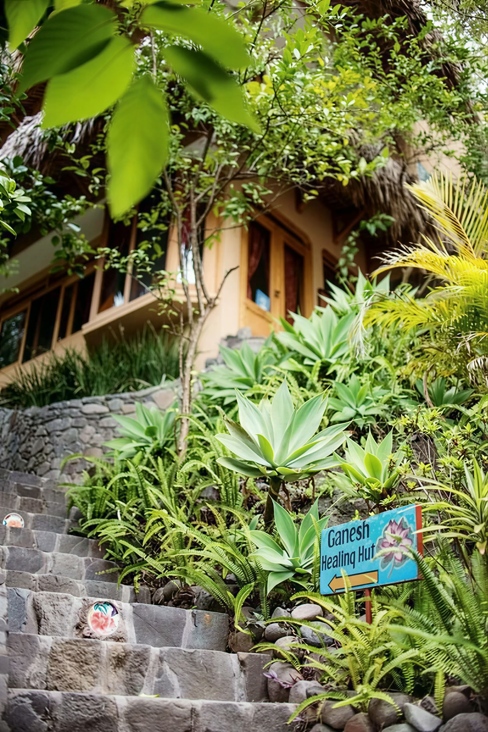 6-Tägiges Guatemala Yoga Retreat – 12.-17. Juni 2027 mit Michelle Fajkus