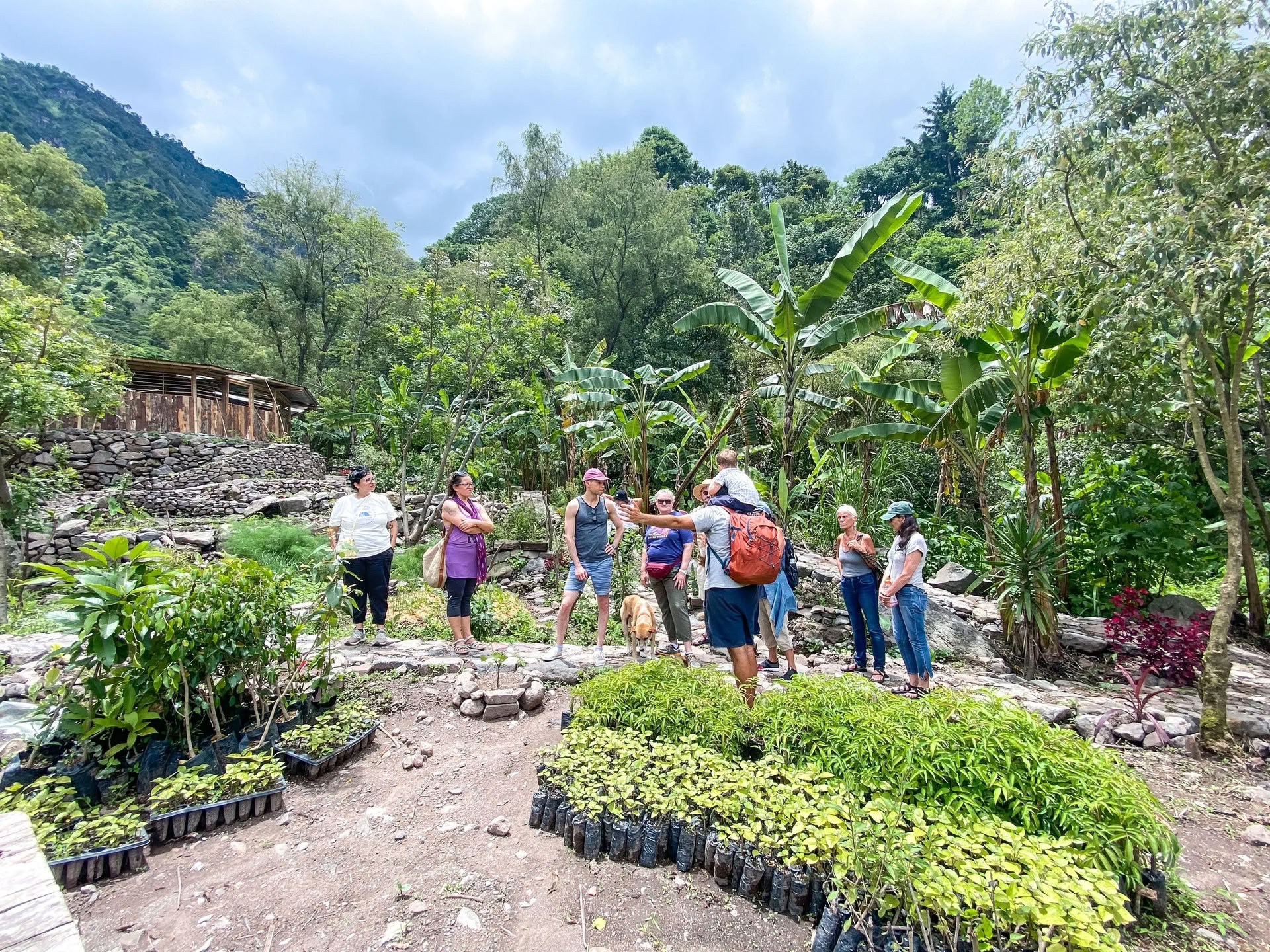 6-Tägiges Guatemala Yoga Retreat – 12.-17. Juni 2027 mit Michelle Fajkus