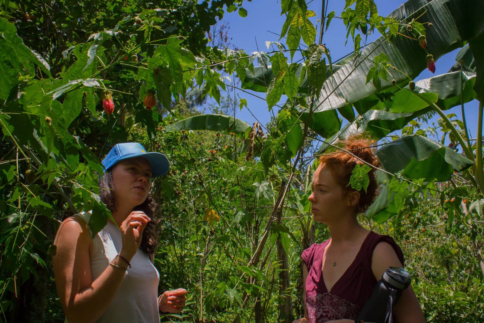 6-Tägiges Guatemala Yoga Retreat – 12.-17. Juni 2027 mit Michelle Fajkus