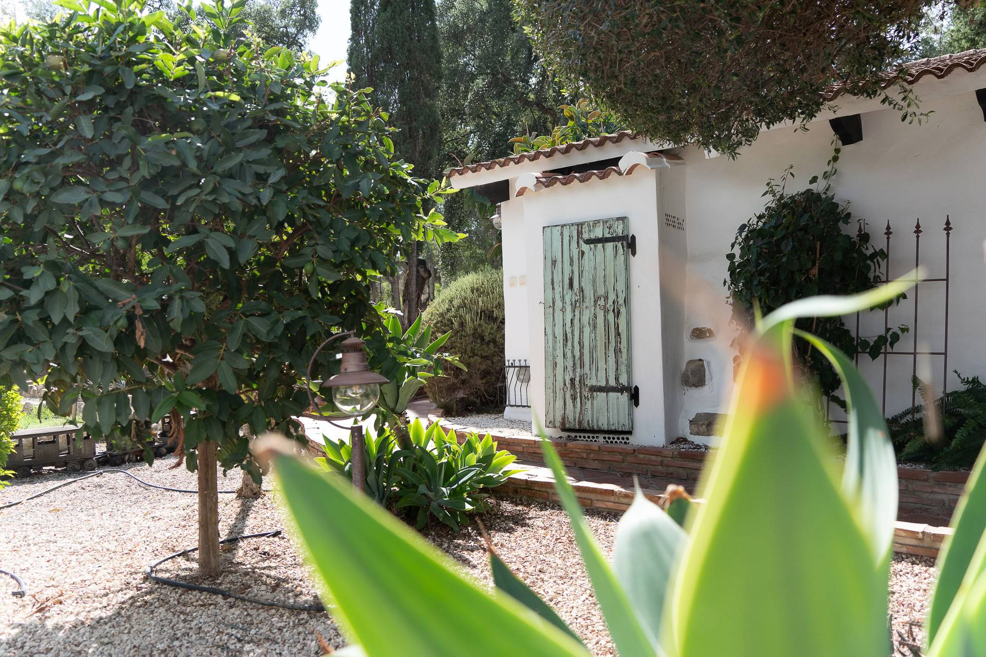 Ashtanga Yoga-Retreat in Spanien mit Philippa Asher