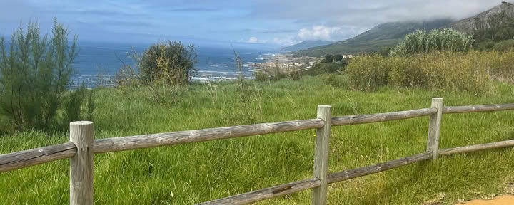 Held by the Way: Eine Reise mit Trauer und Freude auf dem Camino de Santiago