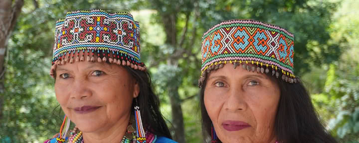 8 Tage | 7 Nächte Trauma-informierte Shipibo-Ayahuasca-Immersion