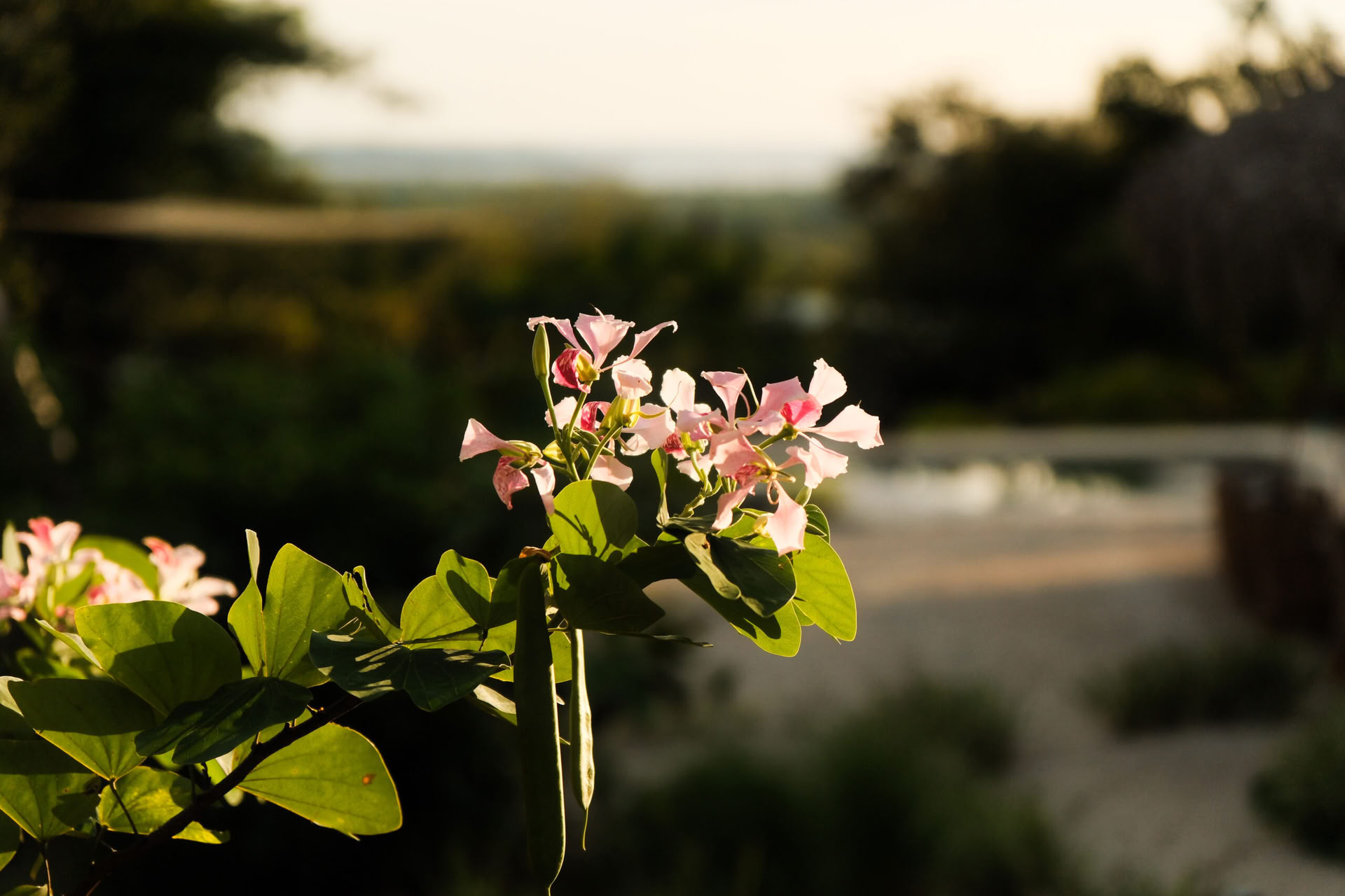 Embodied Sovereignty | Ein Retreat nur für Frauen in San Pedro
