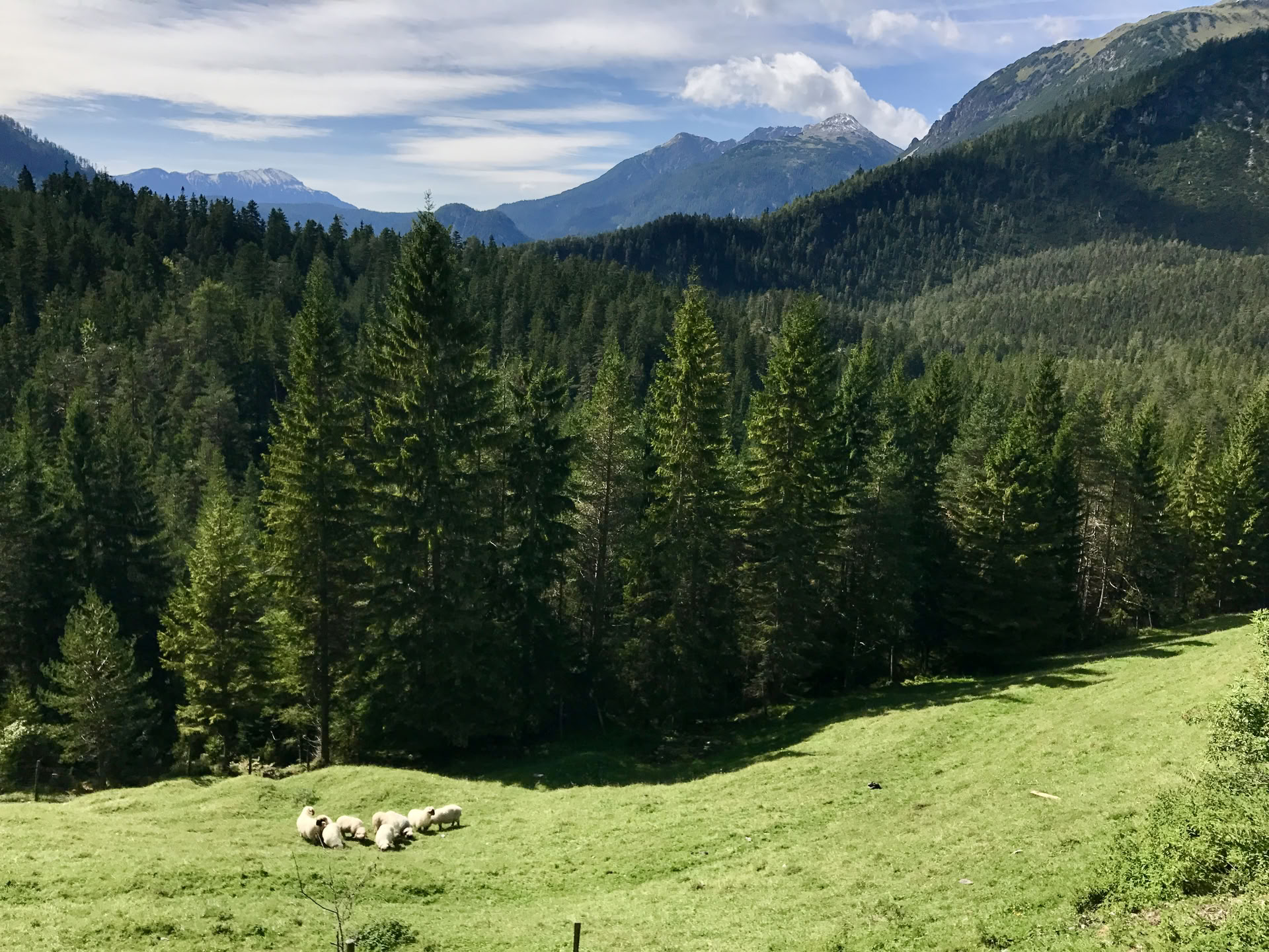 Yoga & Wandern in den österreichischen Alpen