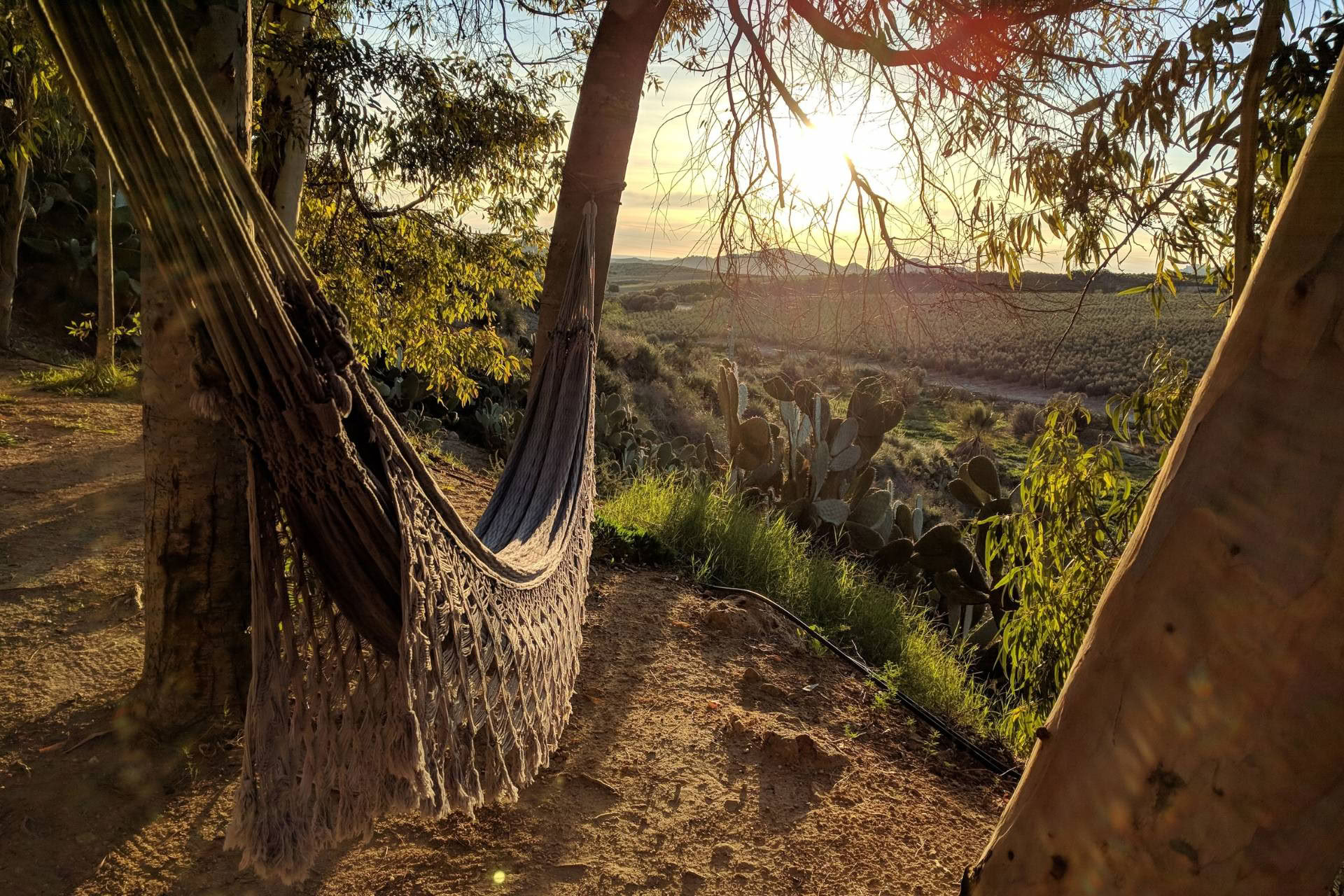 Dharma Retreat – 21.–25. Oktober 2026 - Spanien