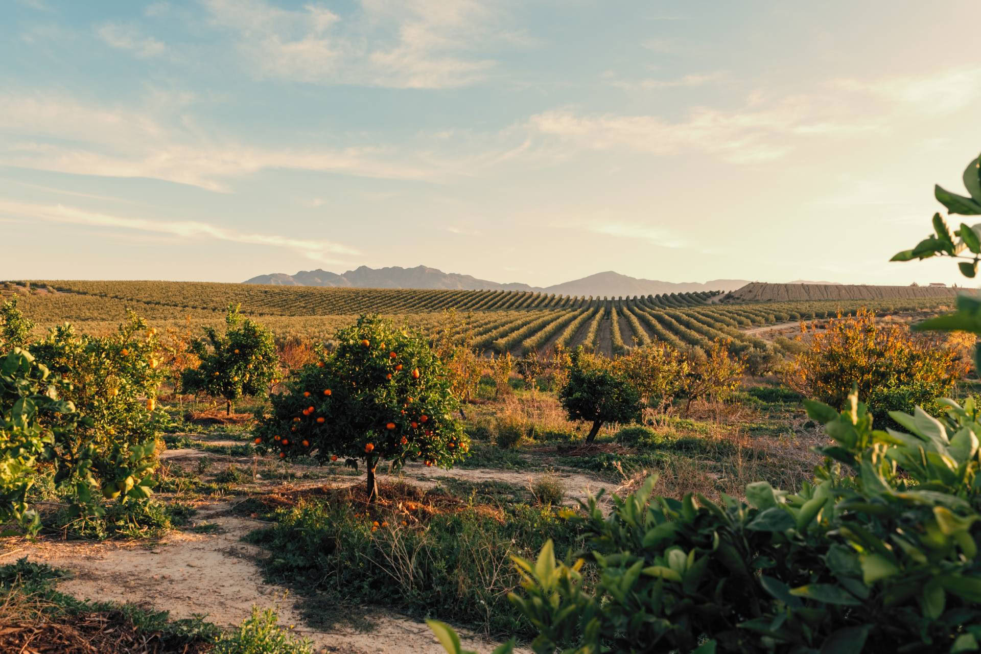 Core Retreat – 14.-18. November 2026 - Spanien