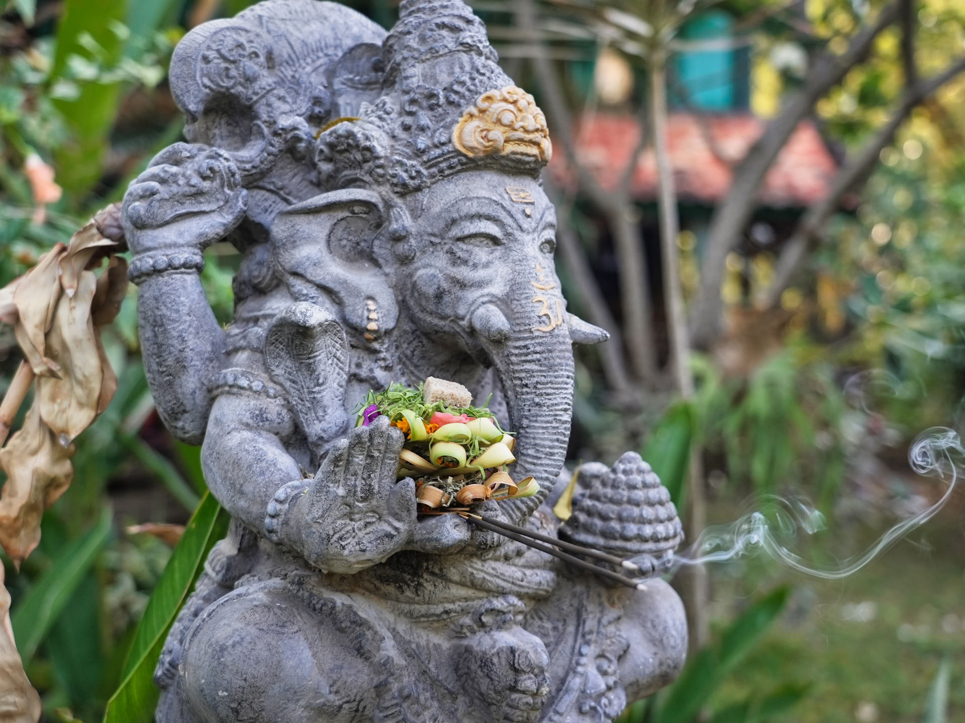 Yoga-Lehrer-Ausbildungskurs (TTC)