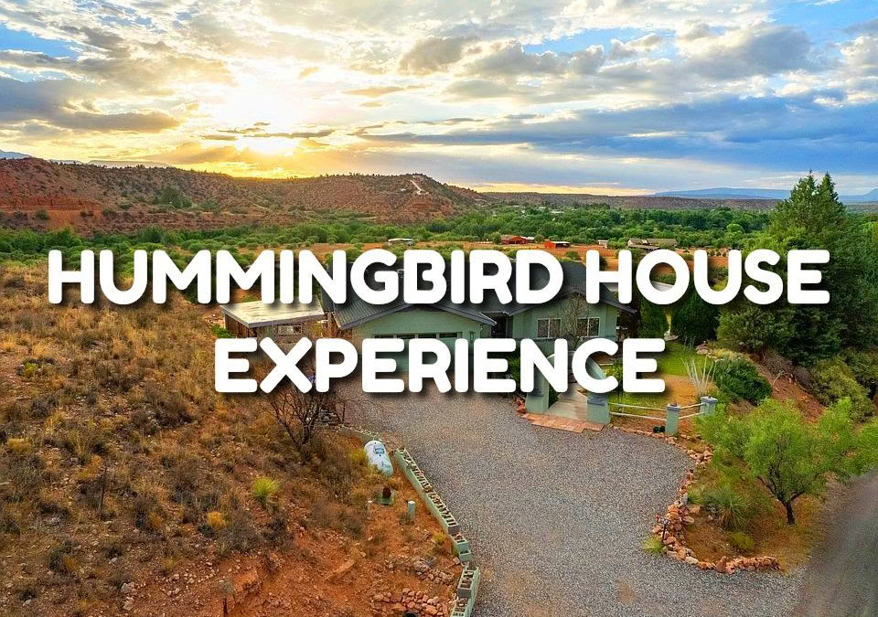 Hummingbird House Erlebnis