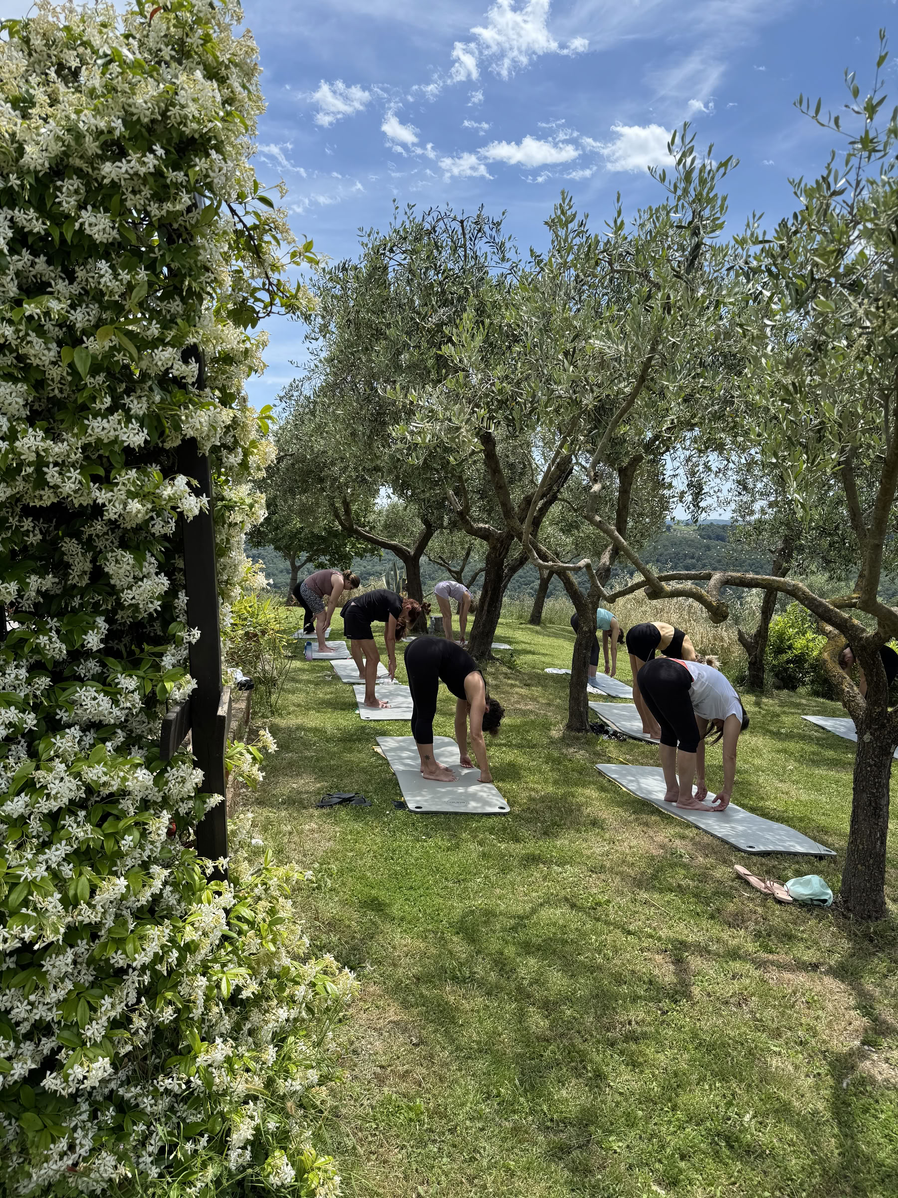 Wellness Camp