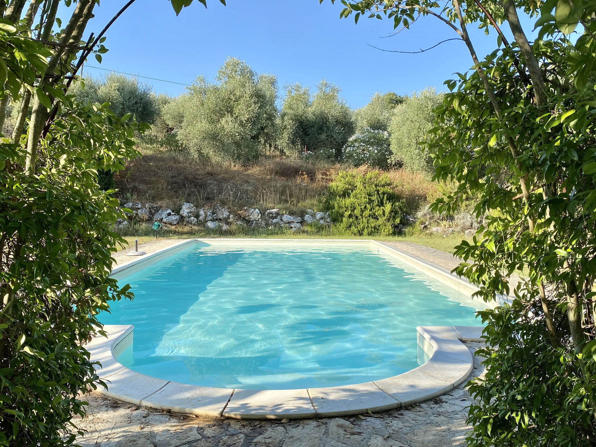 Cortisol Detox Retreat