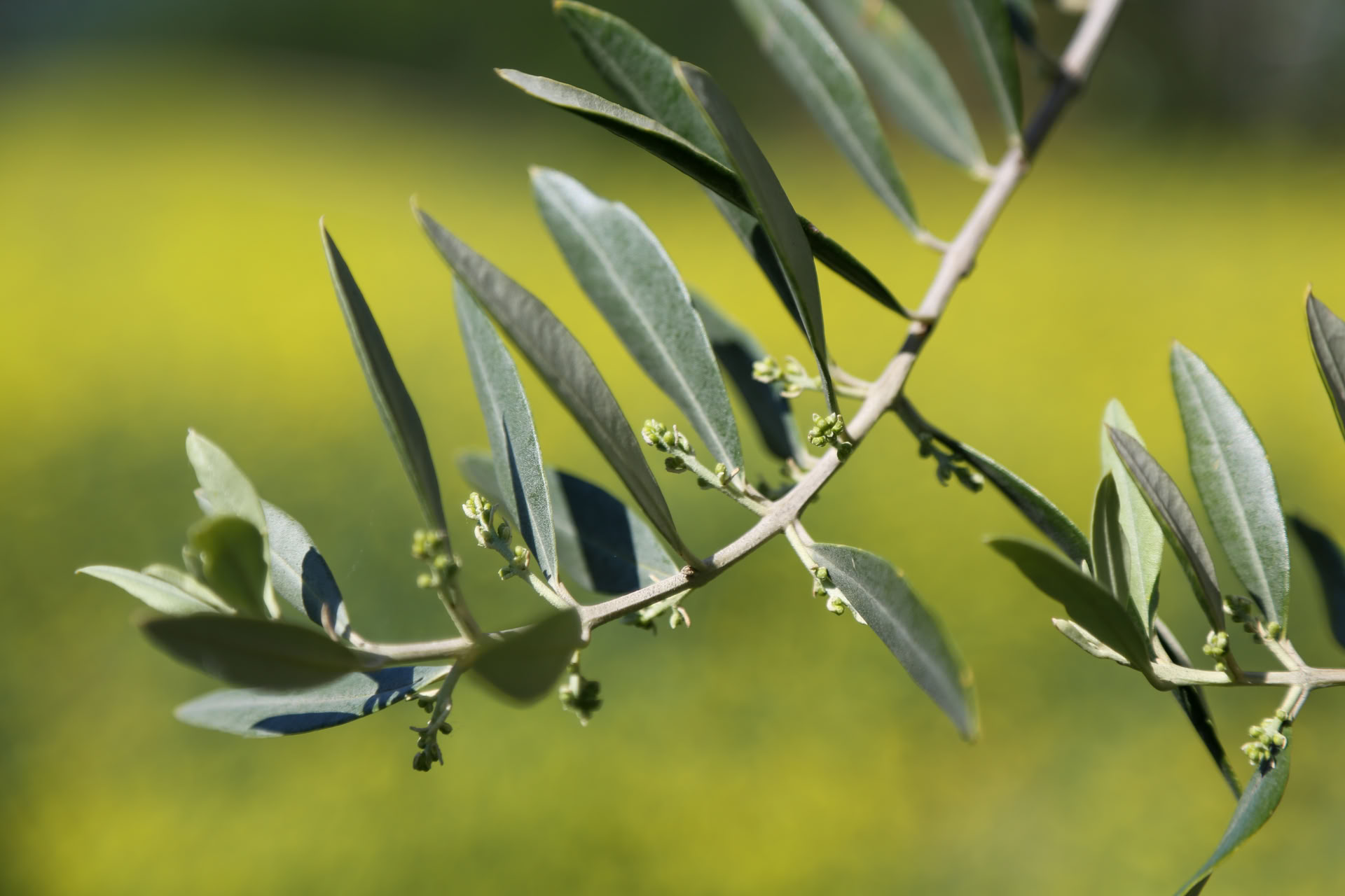 Cortisol Detox Retreat