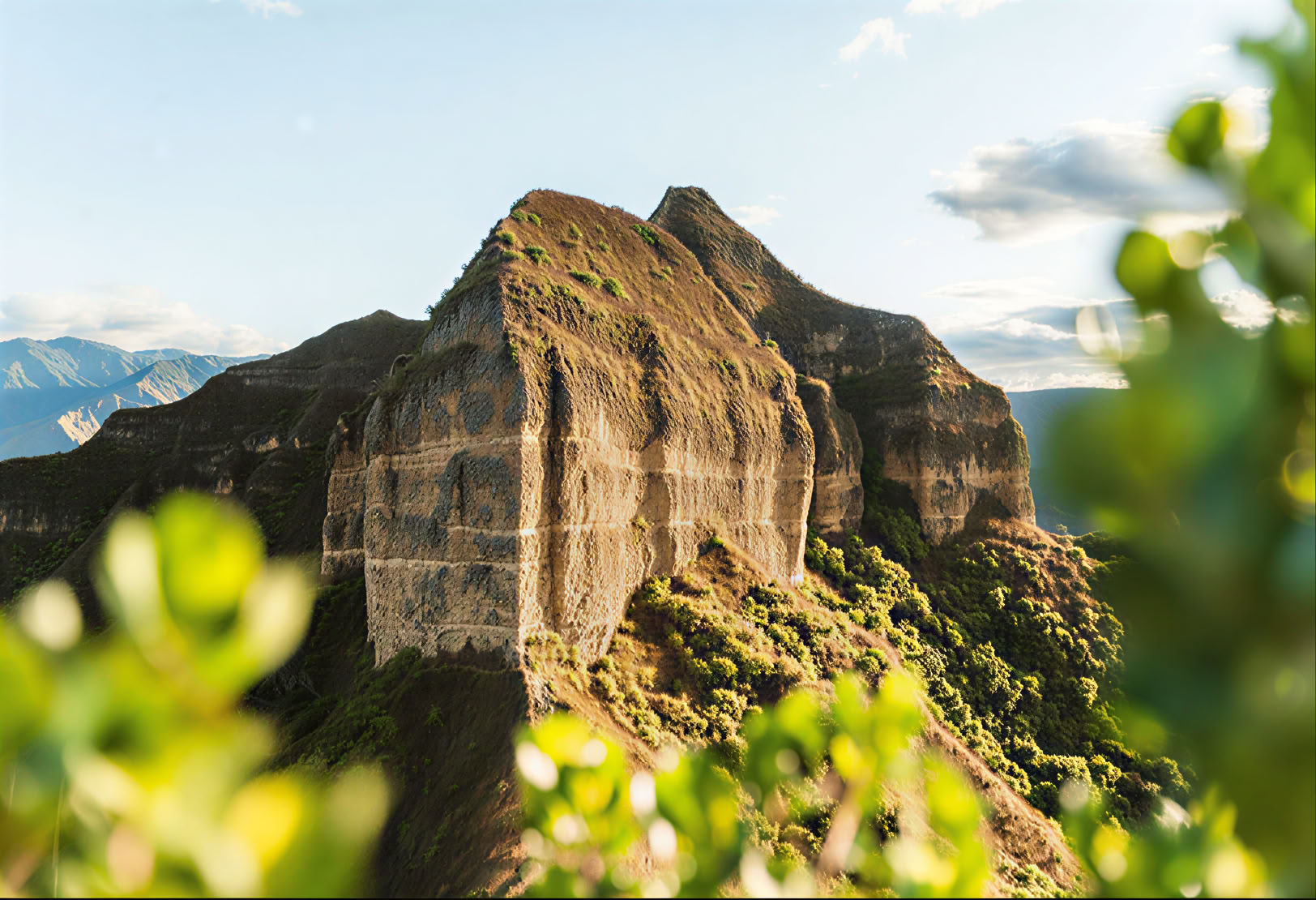 Return to the Earth: 8-Tage Ayahuasca, San Pedro + Wilka Retreat
