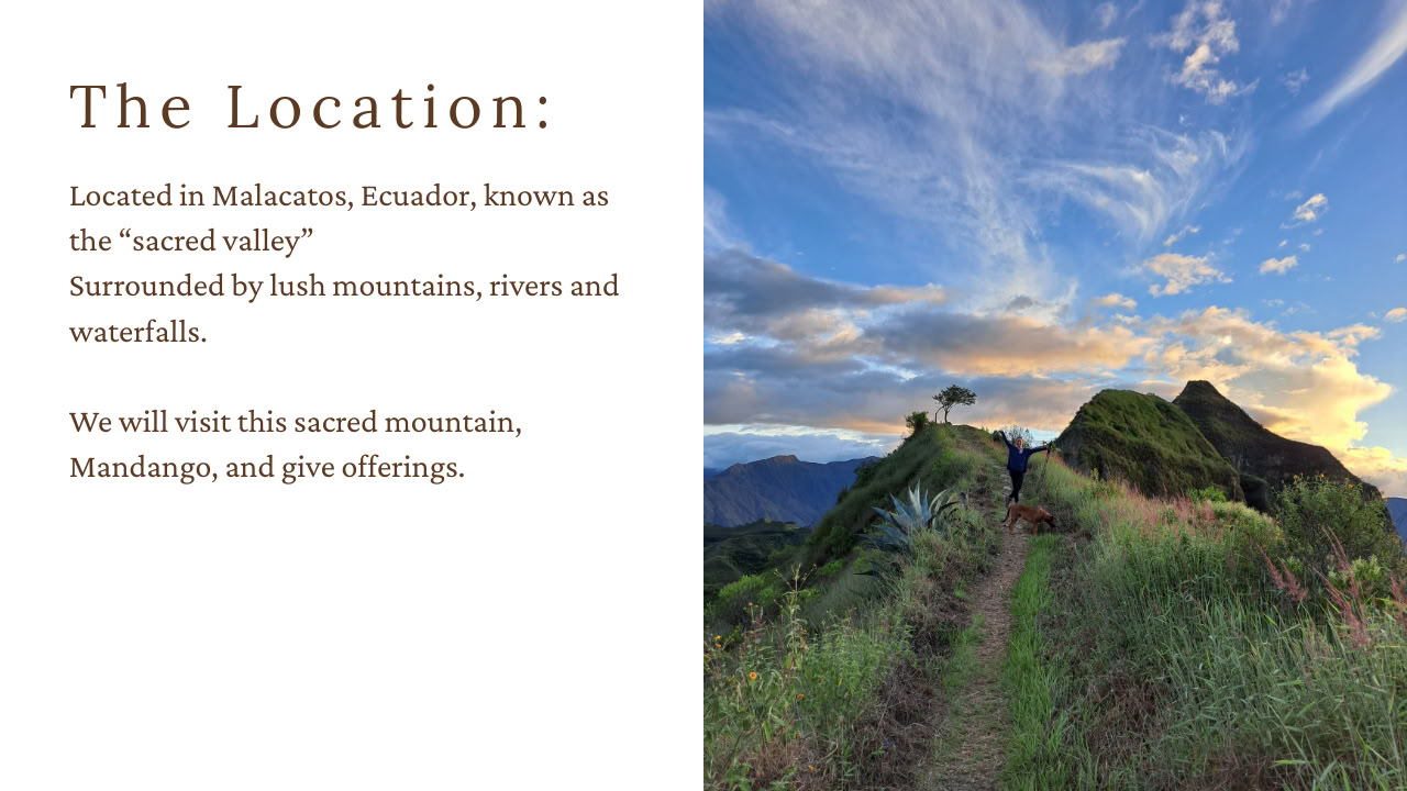 8-tägiges Ayahuasca + San Pedro Retreat Ecuador | Plant Medicine Retreat