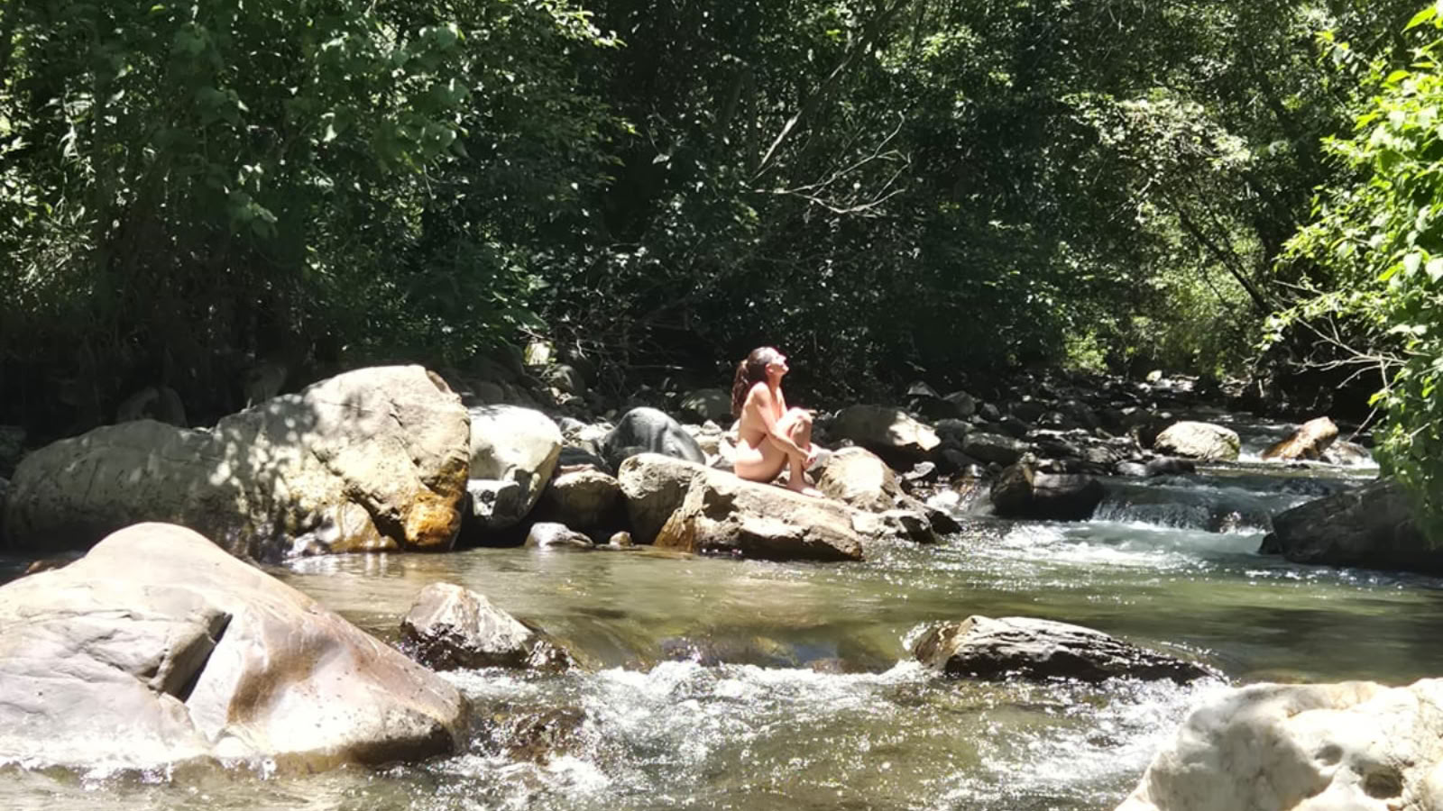 8-tägiges Ayahuasca + San Pedro Retreat Ecuador | Plant Medicine Retreat