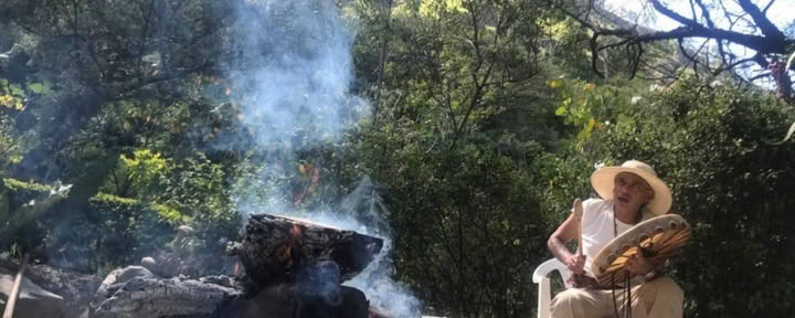 8-tägiges Ayahuasca + San Pedro Retreat Ecuador | Plant Medicine Retreat