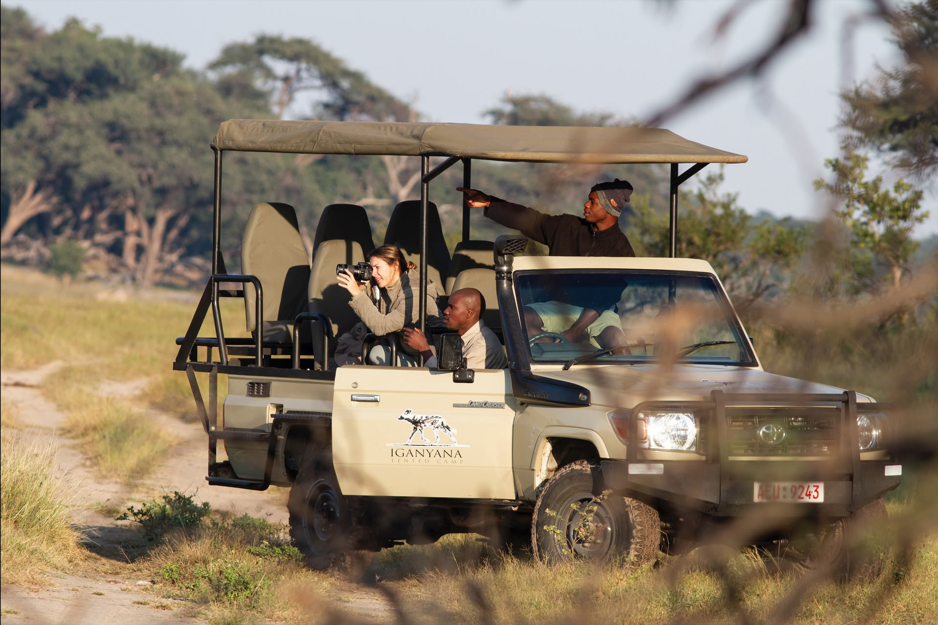 Gesundheits- & Wellness-Safari