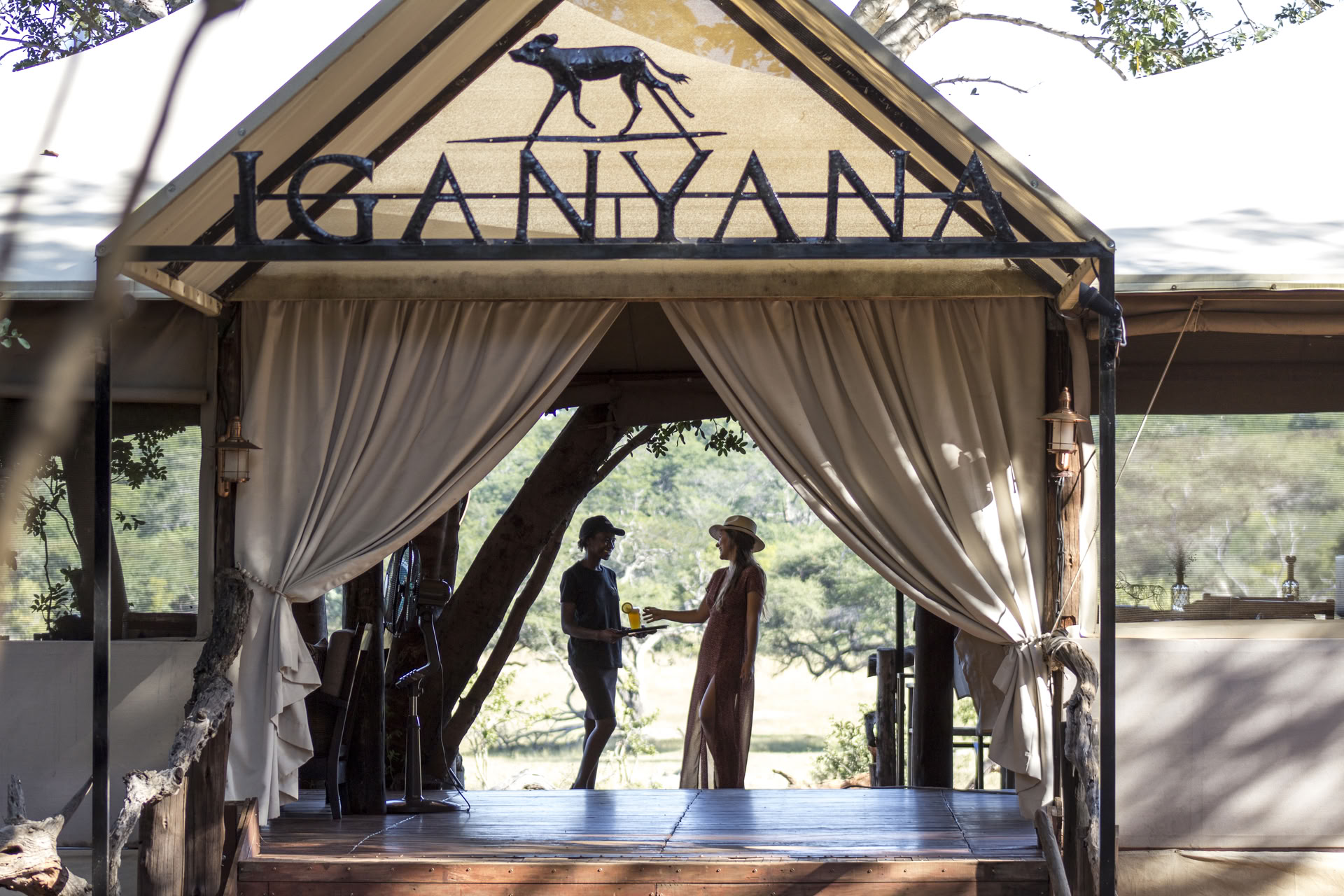 Gesundheits- & Wellness-Safari