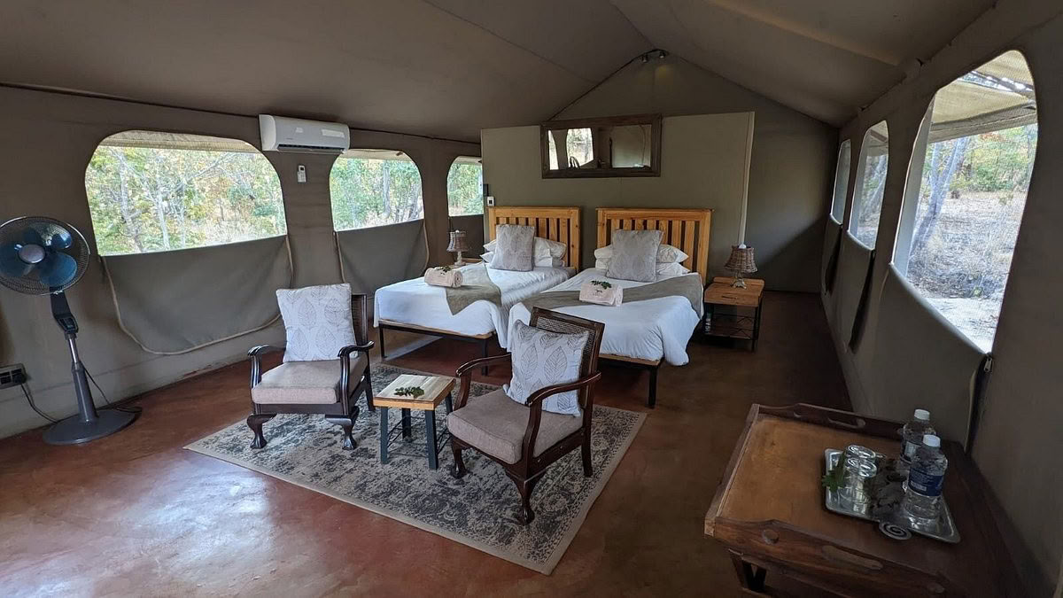 Gesundheits- & Wellness-Safari