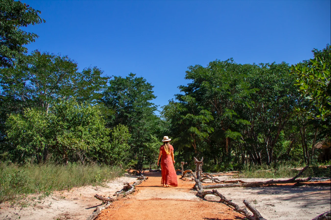 Gesundheits- & Wellness-Safari