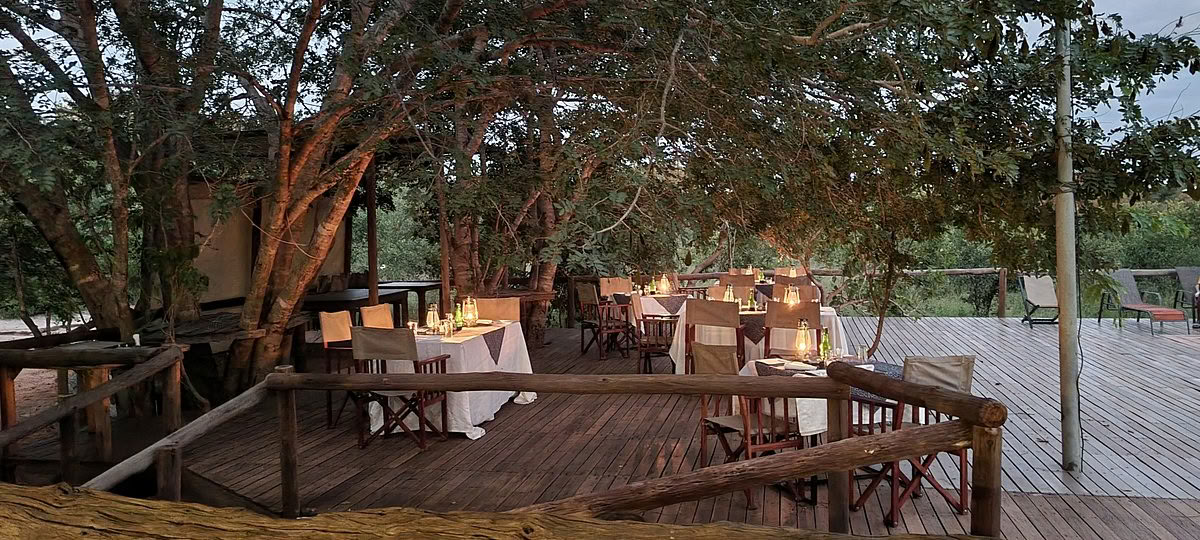 Gesundheits- & Wellness-Safari
