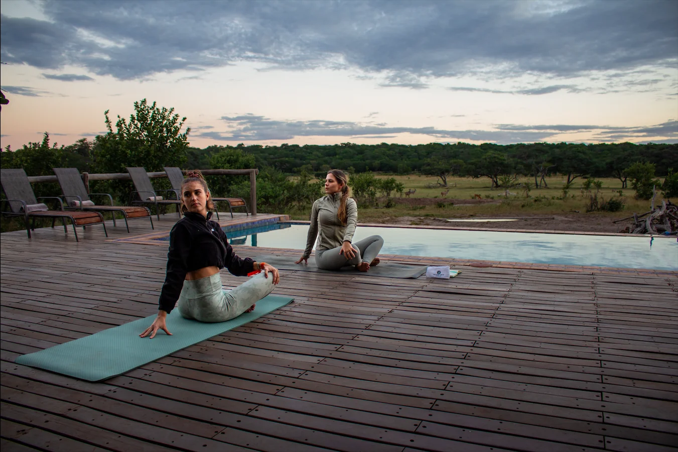 Gesundheits- & Wellness-Safari