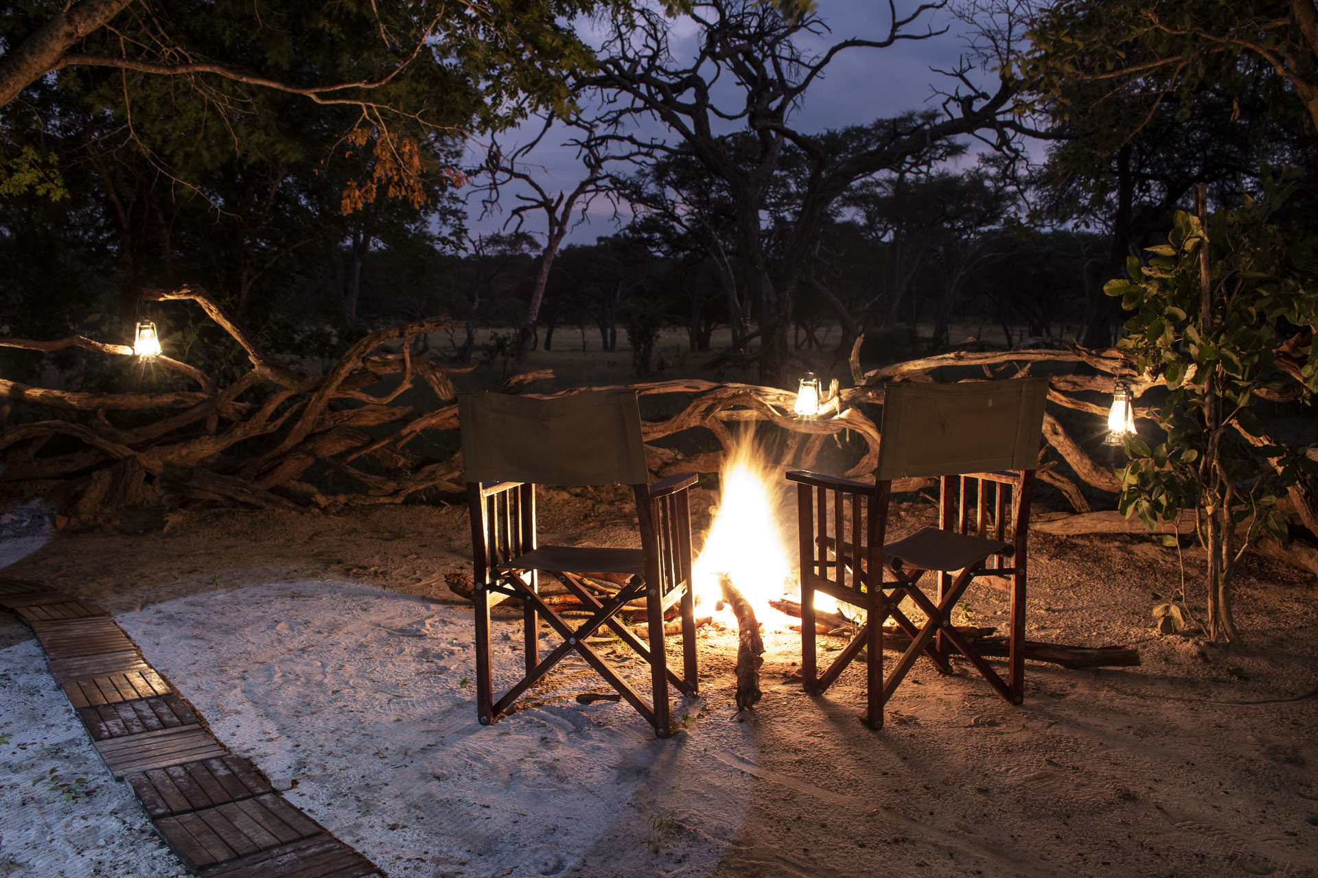 Gesundheits- & Wellness-Safari