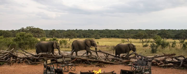 Gesundheits- & Wellness-Safari