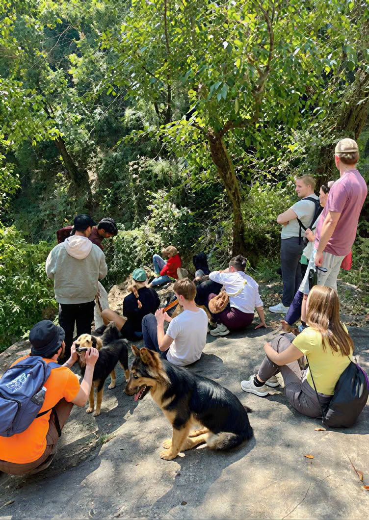 Vipasana in Rishikesh: 11-tägiges stilles Erwachensprogramm