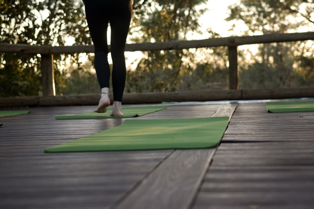 Yoga mit Elefanten