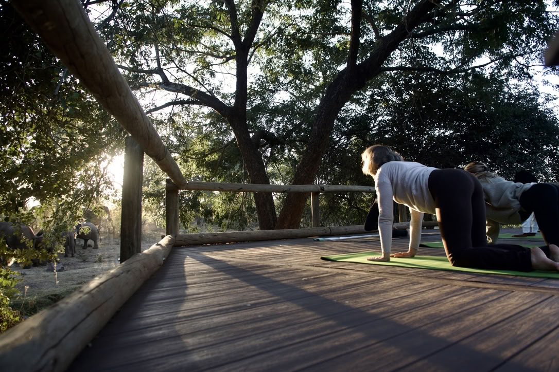 Yoga mit Elefanten