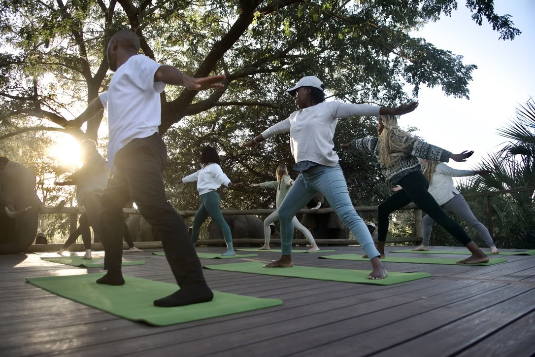 Yoga mit Elefanten