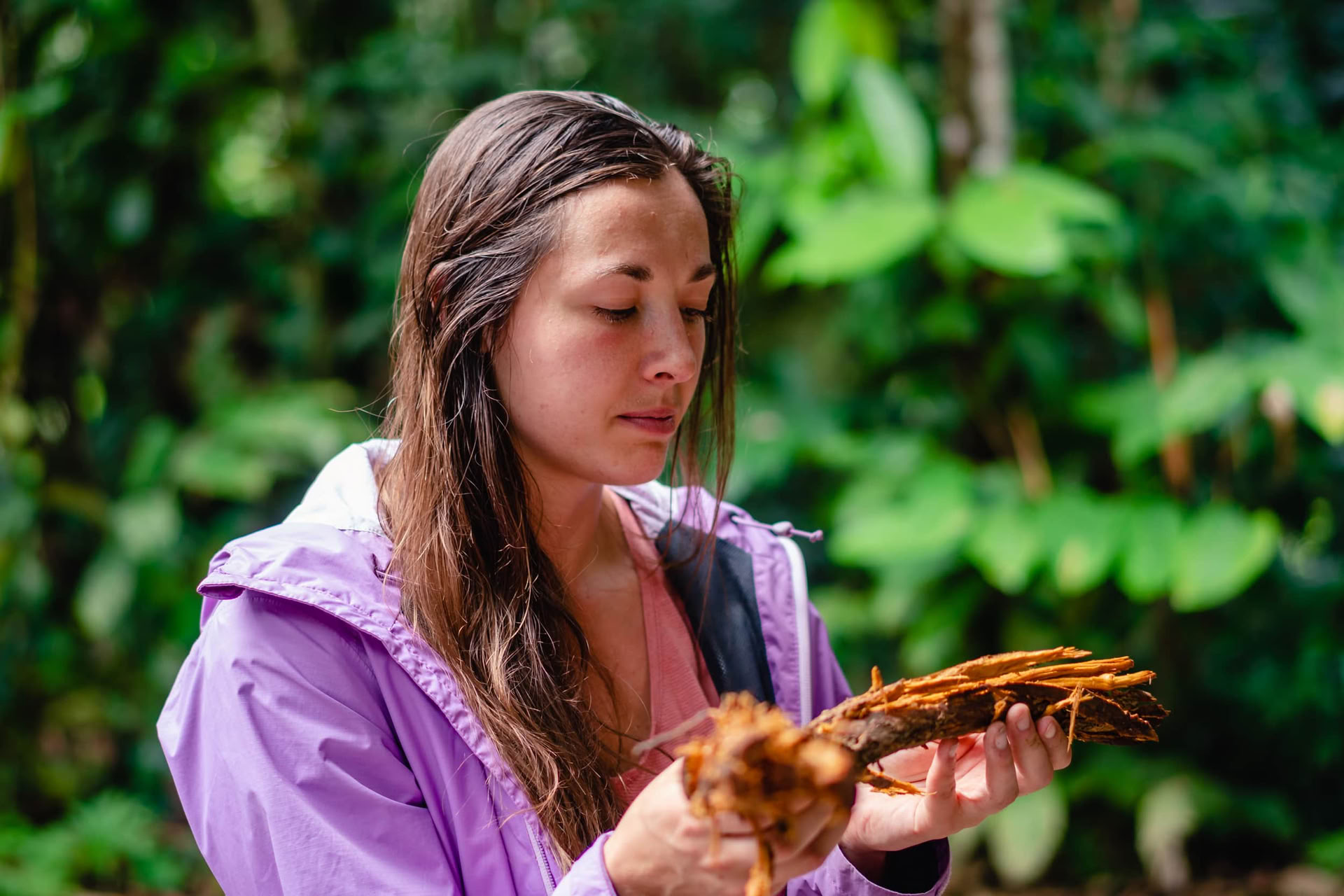 Ayahuasca Juli 2026 Radiant Renewal Retreat (12-Tage)