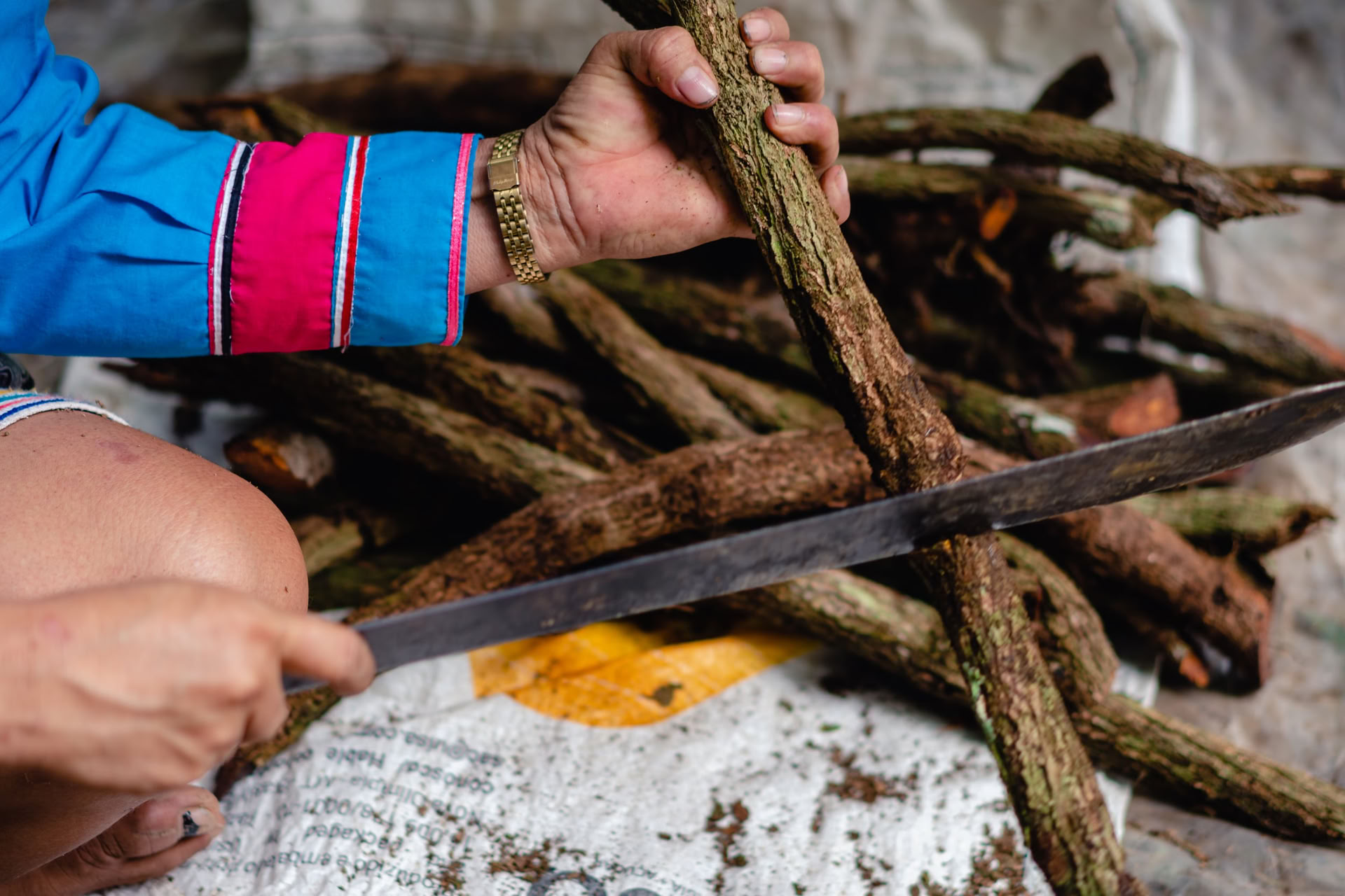 Ayahuasca Juli 2026 Inner Vision Retreat (8-Tage)